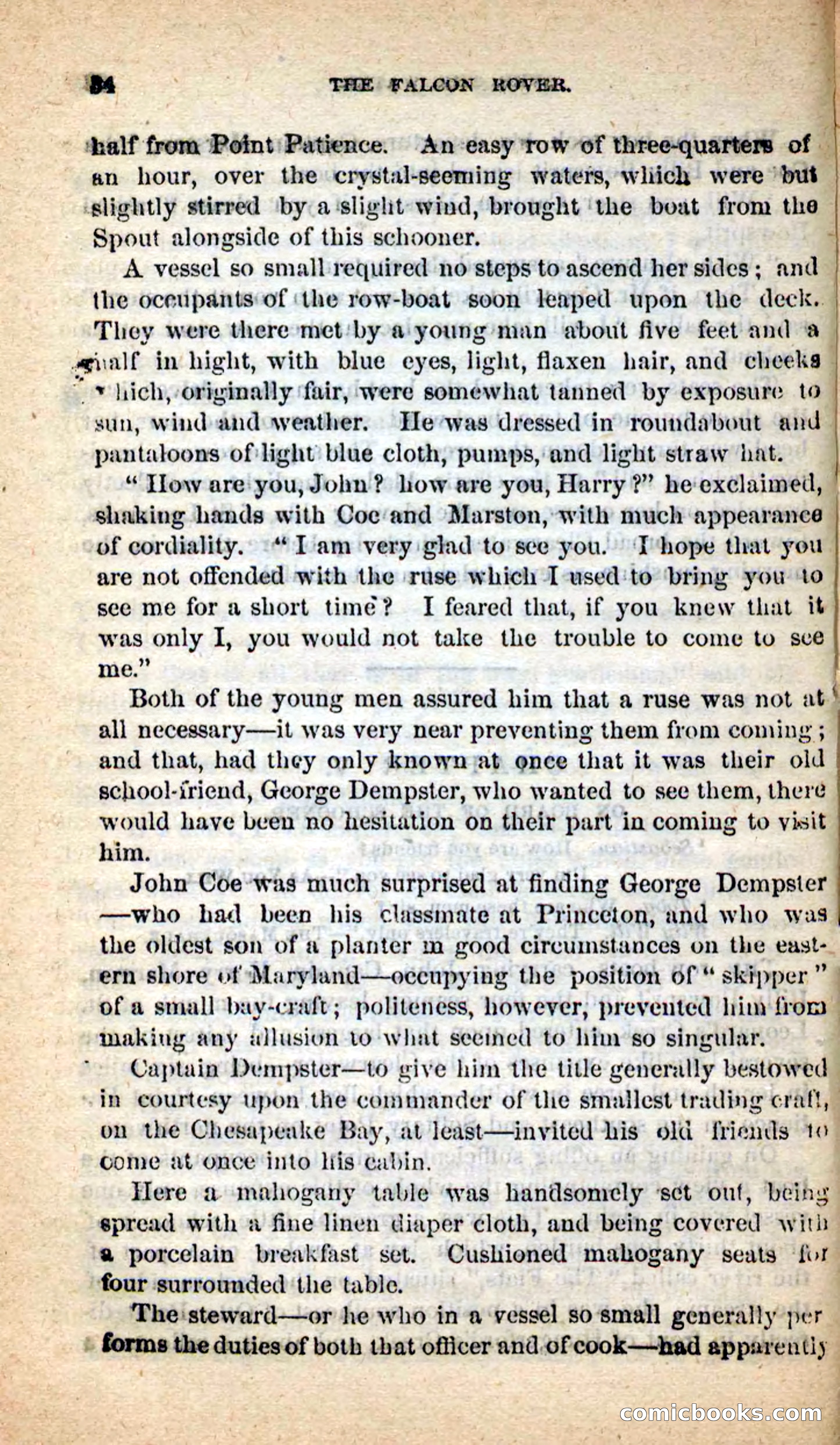 The Falcon Rover — page 31 of 100