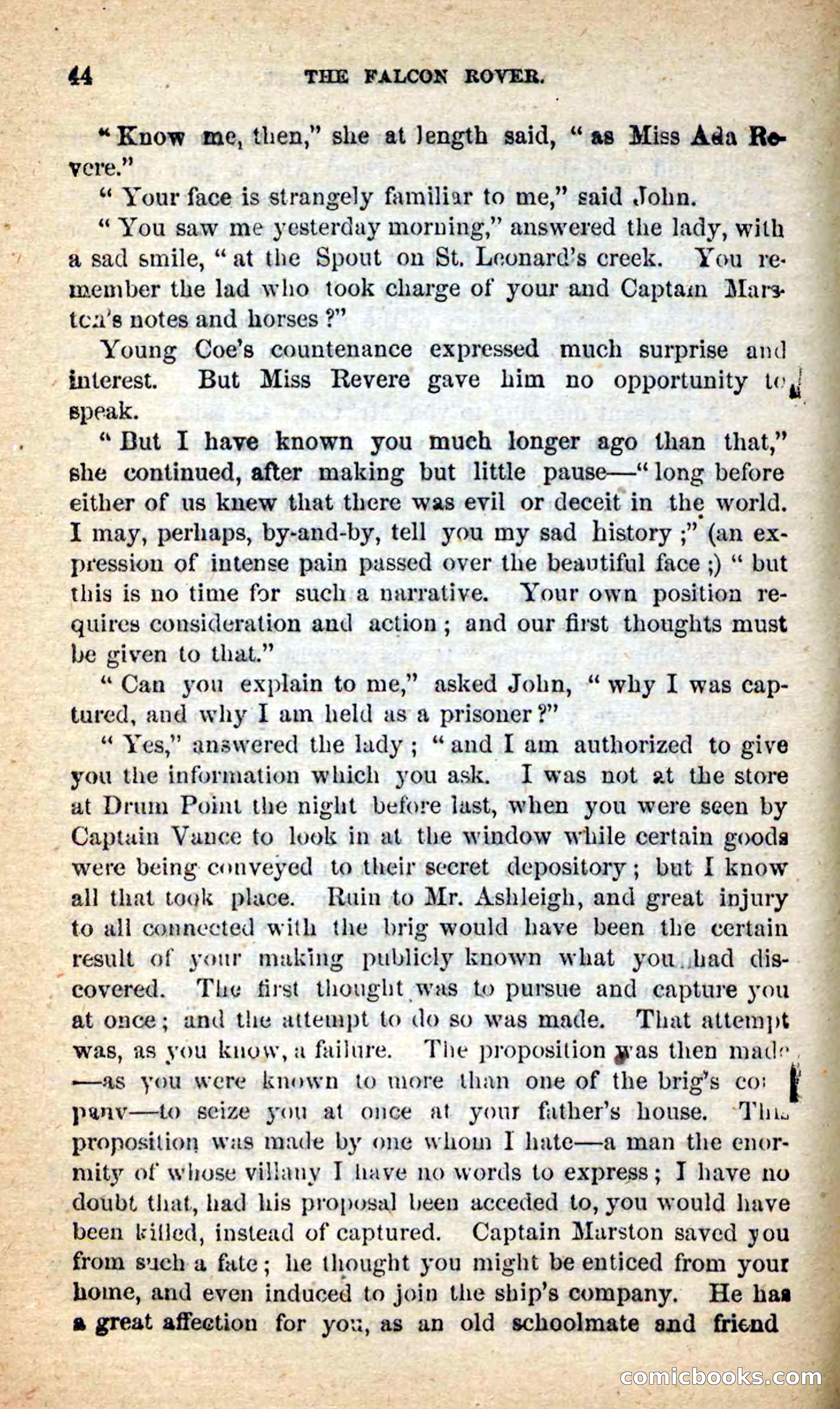 The Falcon Rover — page 41 of 100