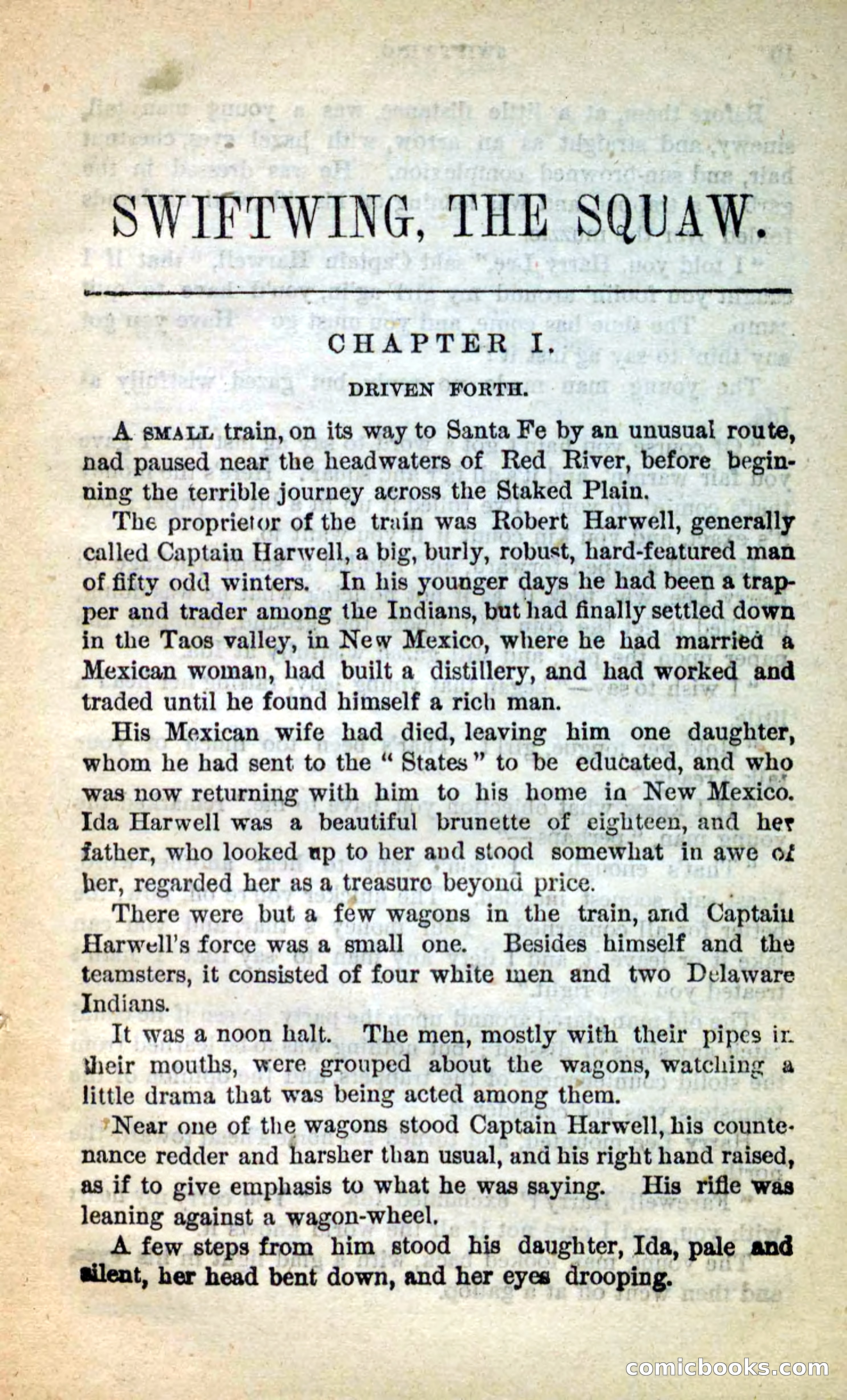 Beadle's New Dime Novels: Swiftwing, the Squaw — page 5 of 99