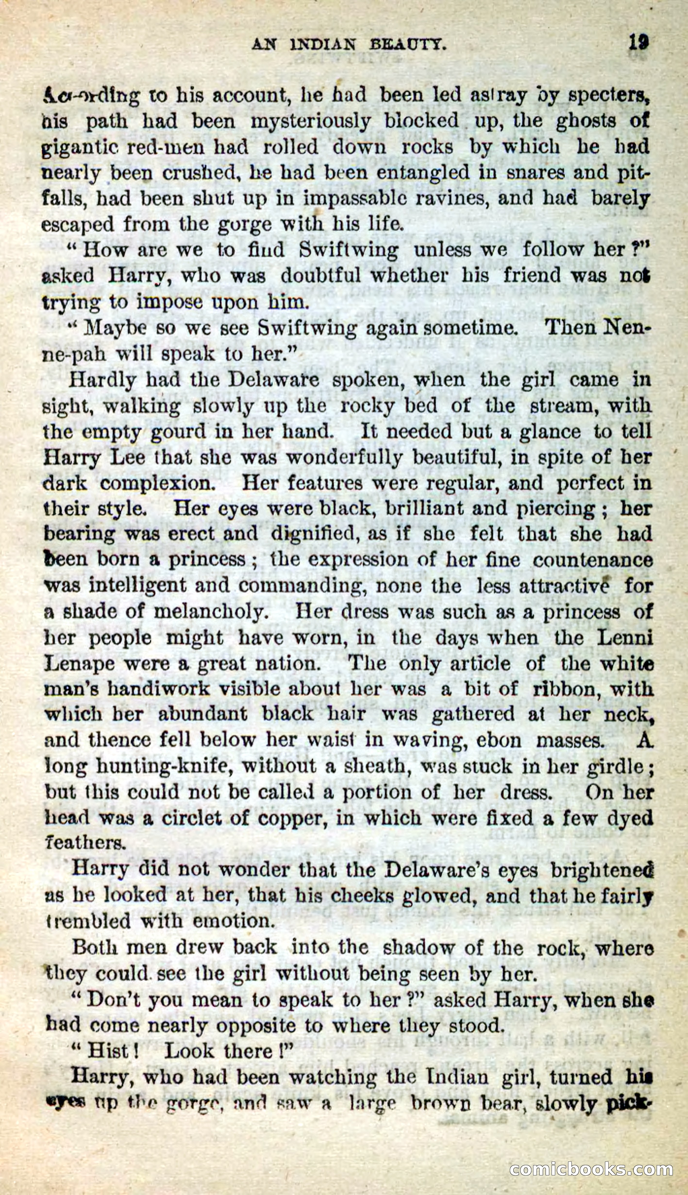 Beadle's New Dime Novels: Swiftwing, the Squaw — page 15 of 99