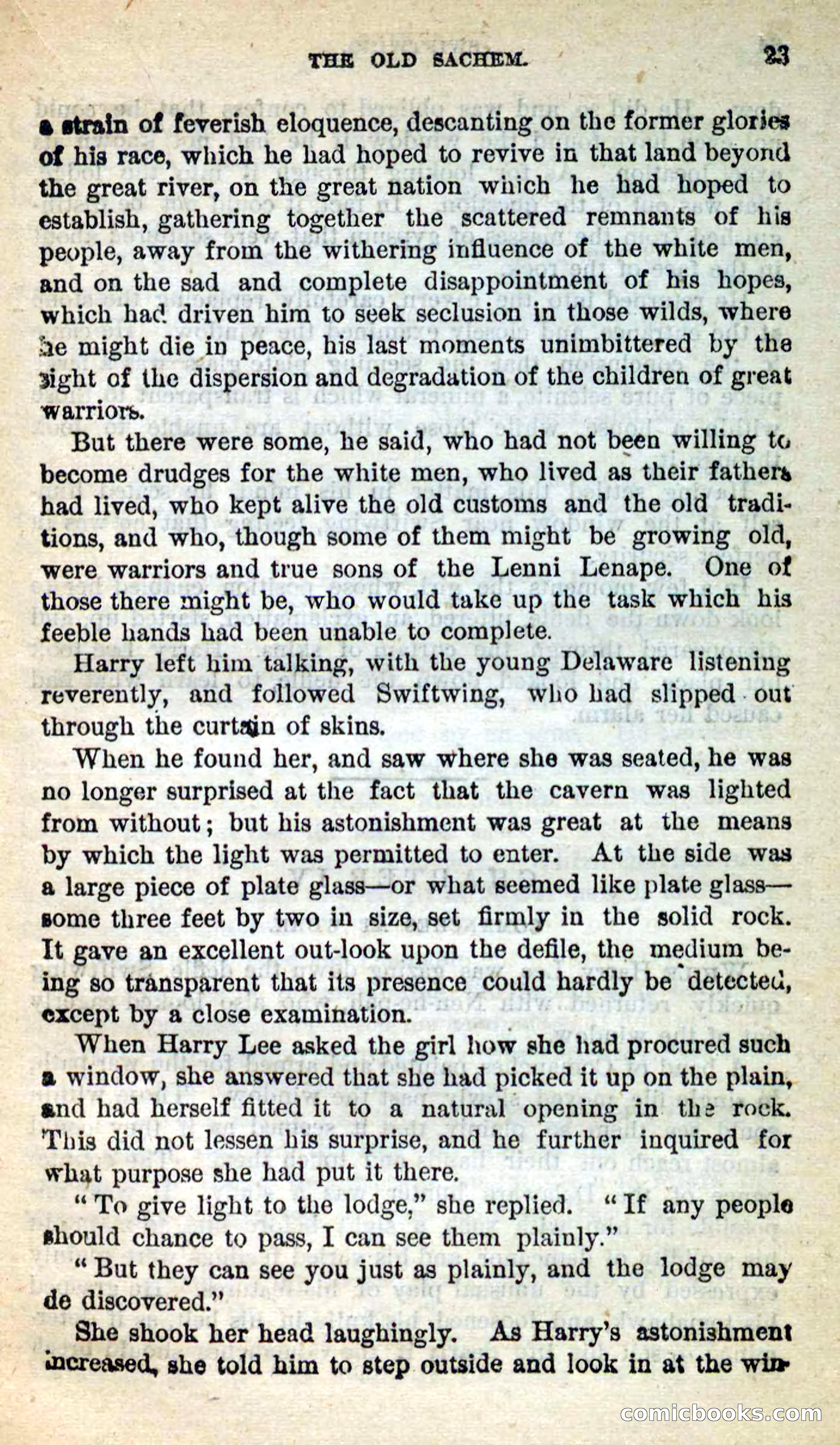 Beadle's New Dime Novels: Swiftwing, the Squaw — page 19 of 99