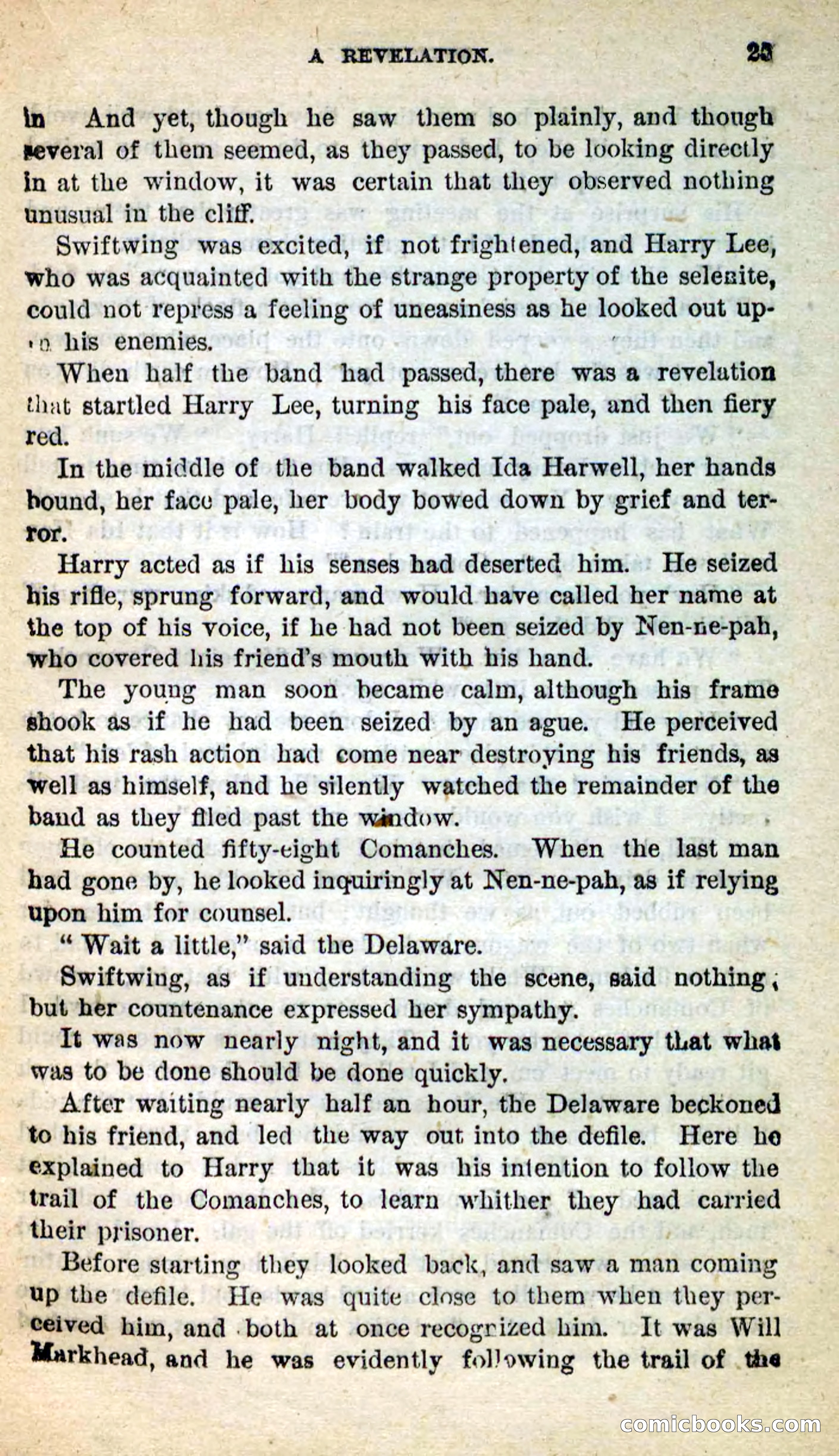 Beadle's New Dime Novels: Swiftwing, the Squaw — page 21 of 99