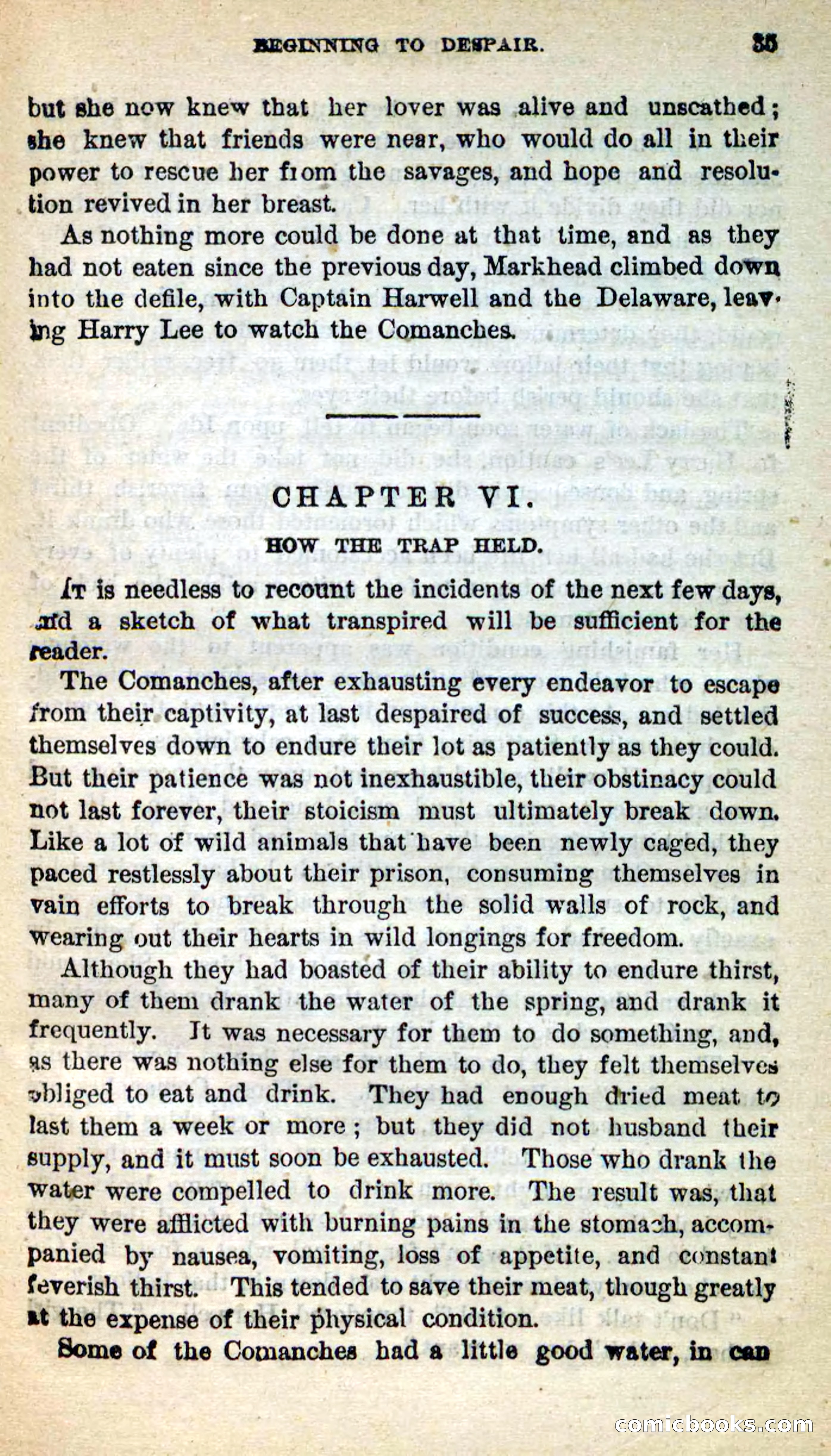Beadle's New Dime Novels: Swiftwing, the Squaw — page 31 of 99