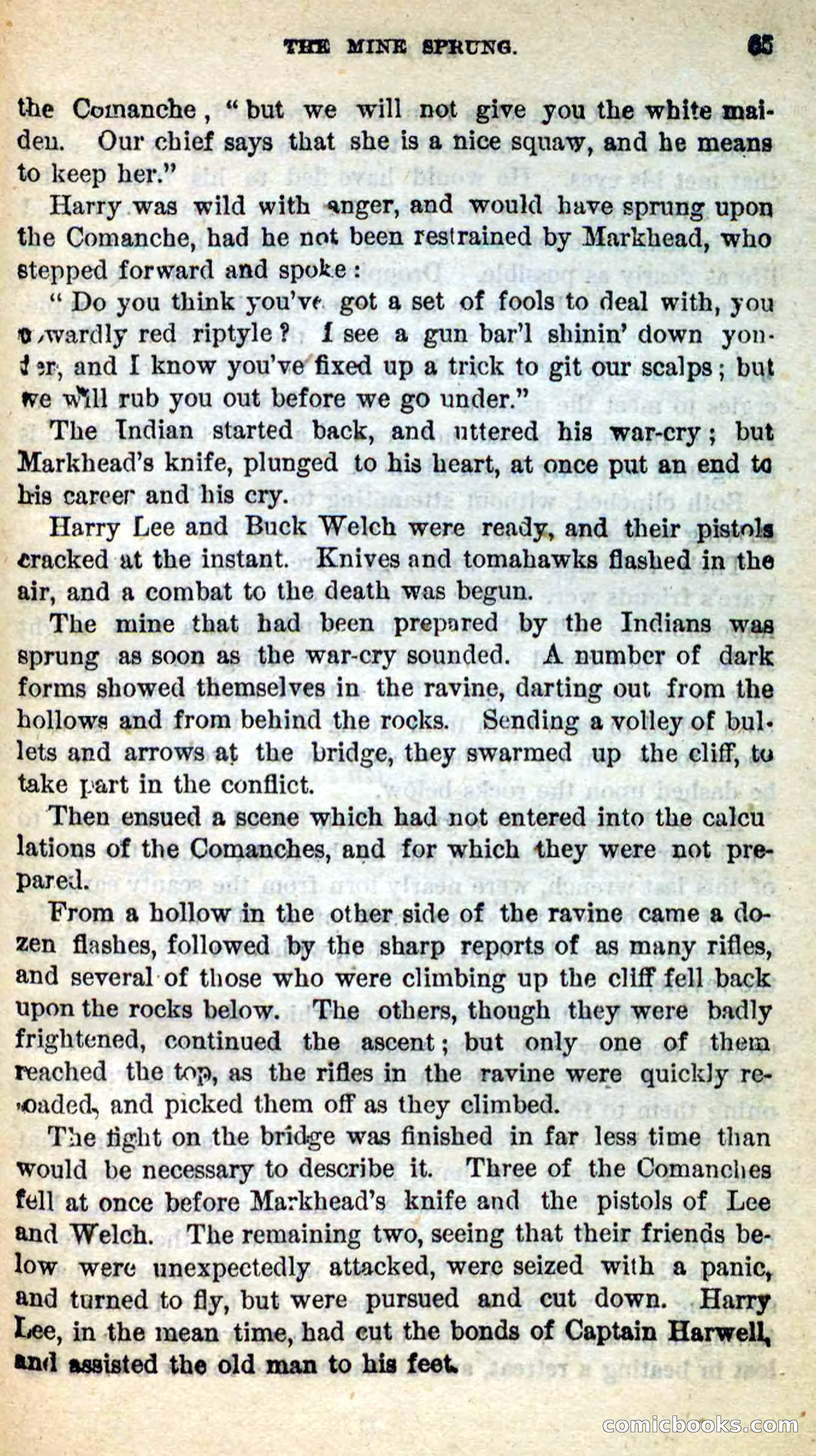 Beadle's New Dime Novels: Swiftwing, the Squaw — page 61 of 99