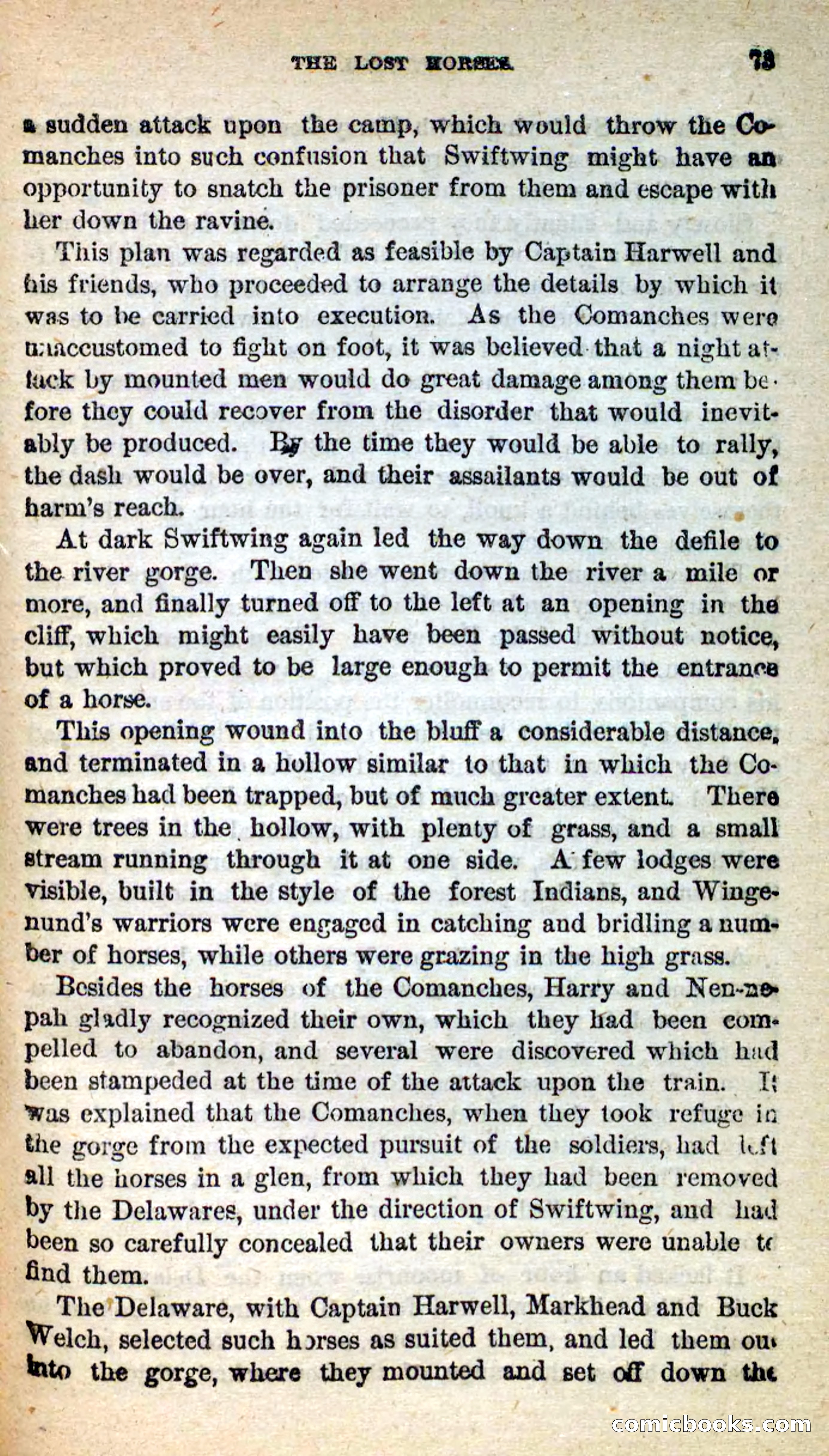 Beadle's New Dime Novels: Swiftwing, the Squaw — page 69 of 99