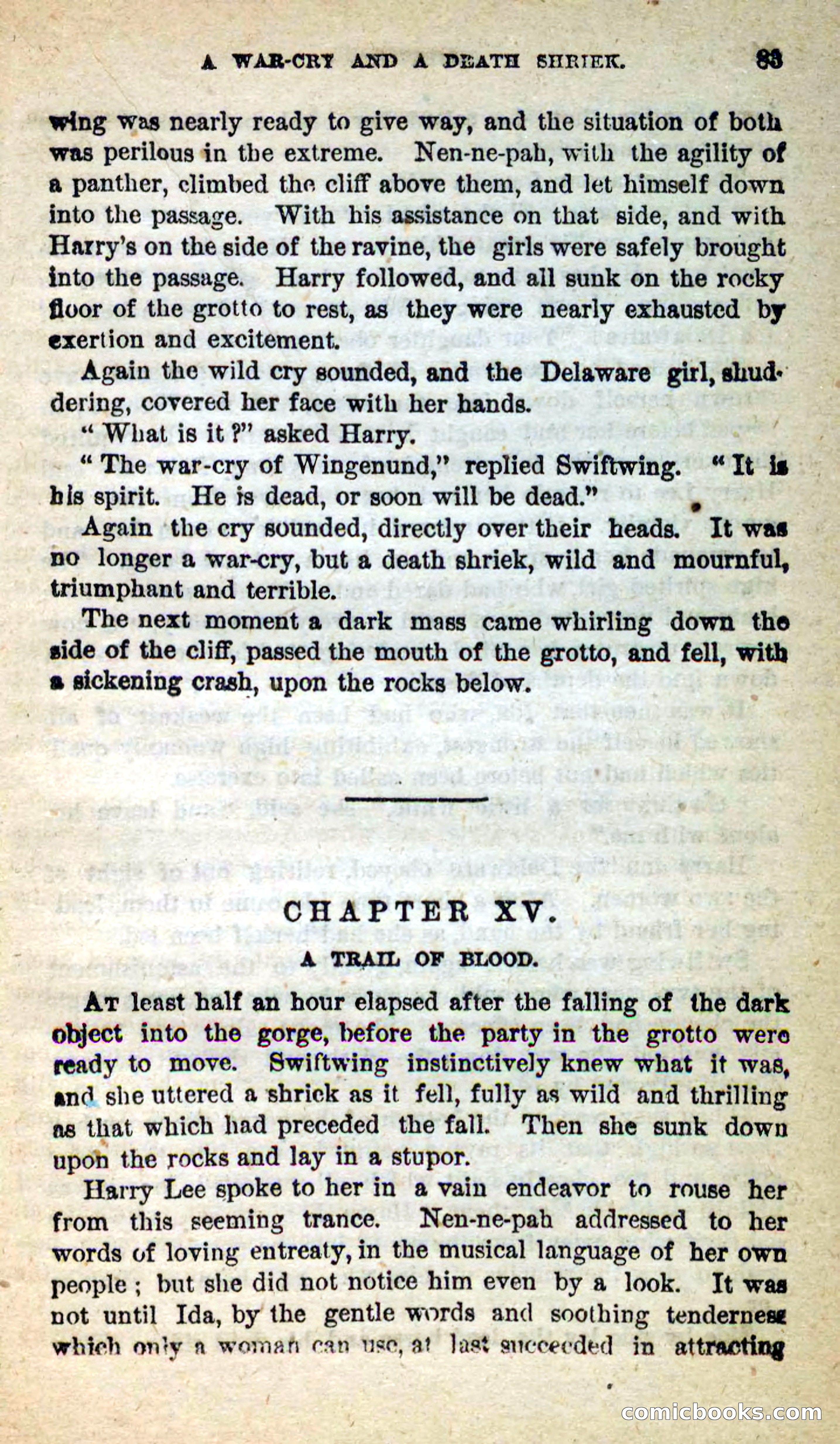 Beadle's New Dime Novels: Swiftwing, the Squaw — page 79 of 99