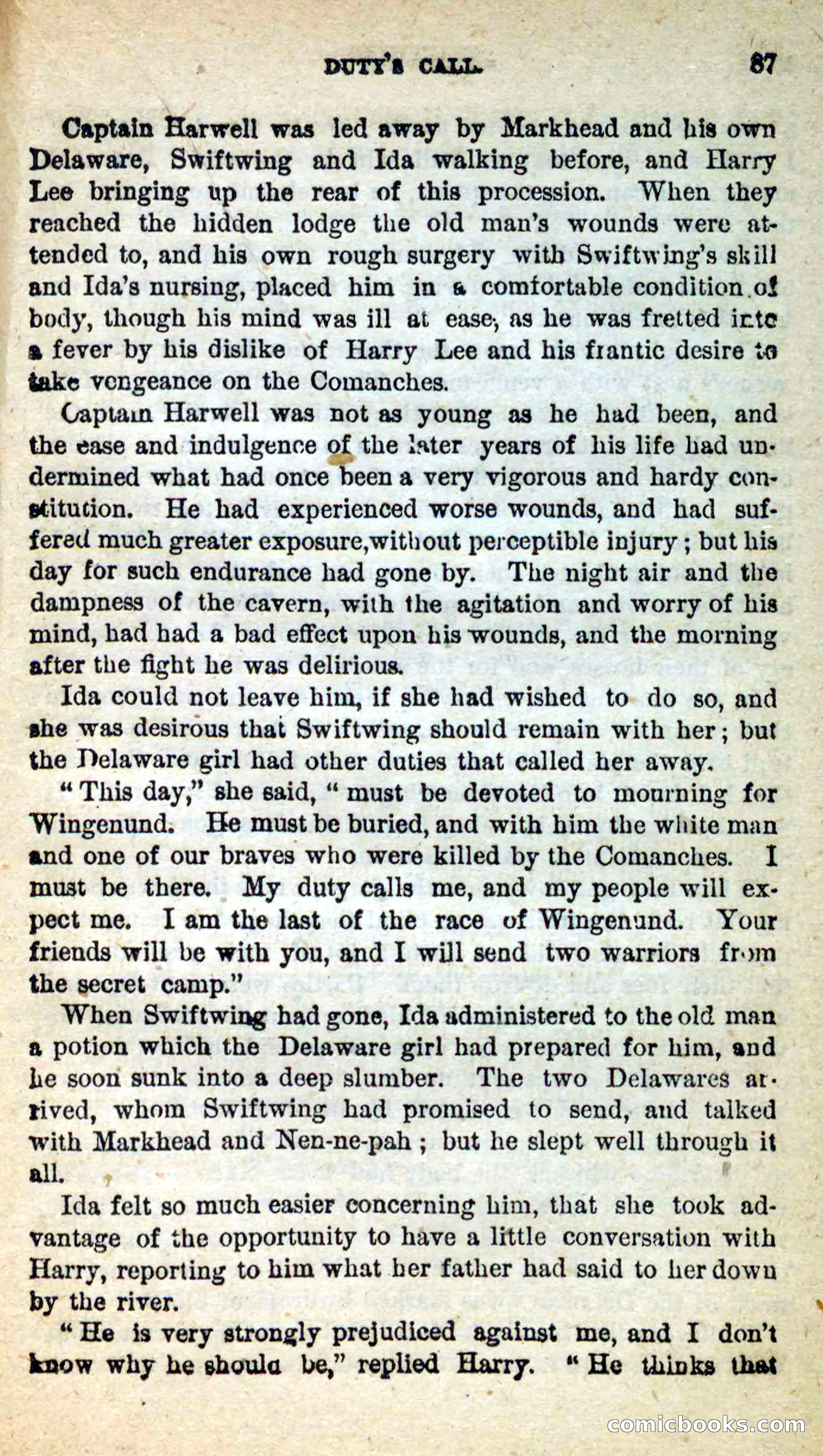 Beadle's New Dime Novels: Swiftwing, the Squaw — page 83 of 99