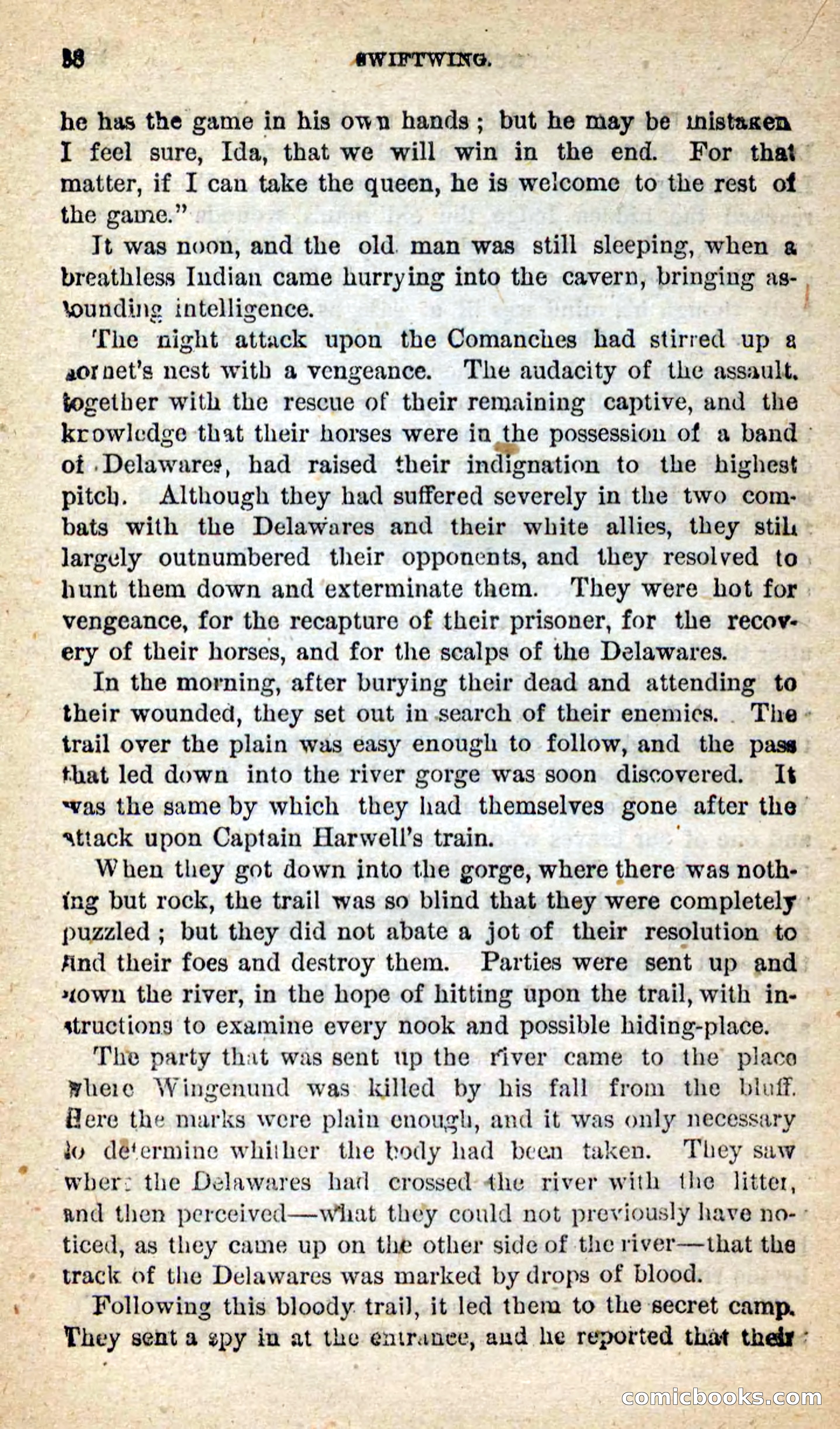 Beadle's New Dime Novels: Swiftwing, the Squaw — page 84 of 99