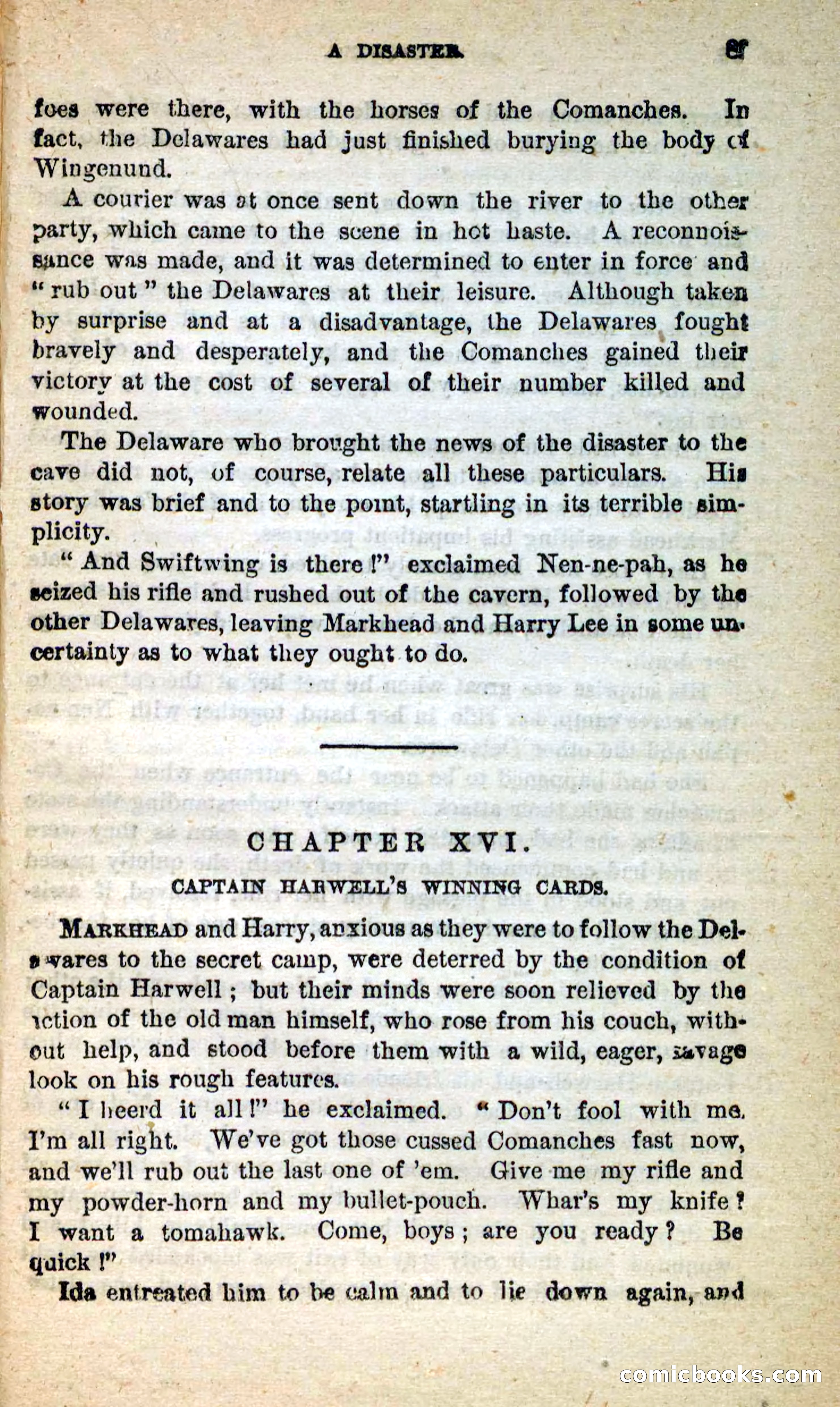 Beadle's New Dime Novels: Swiftwing, the Squaw — page 85 of 99