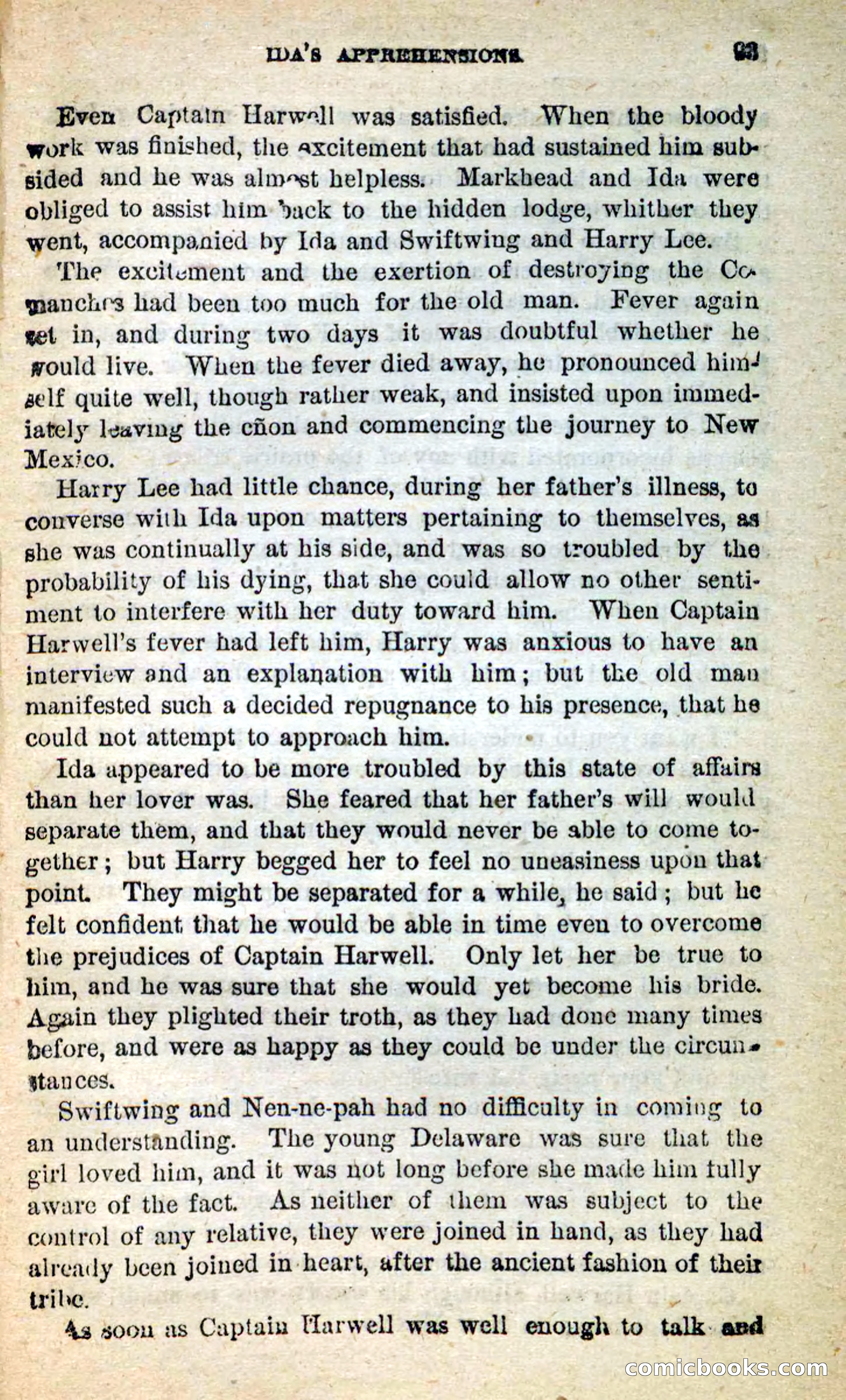 Beadle's New Dime Novels: Swiftwing, the Squaw — page 89 of 99