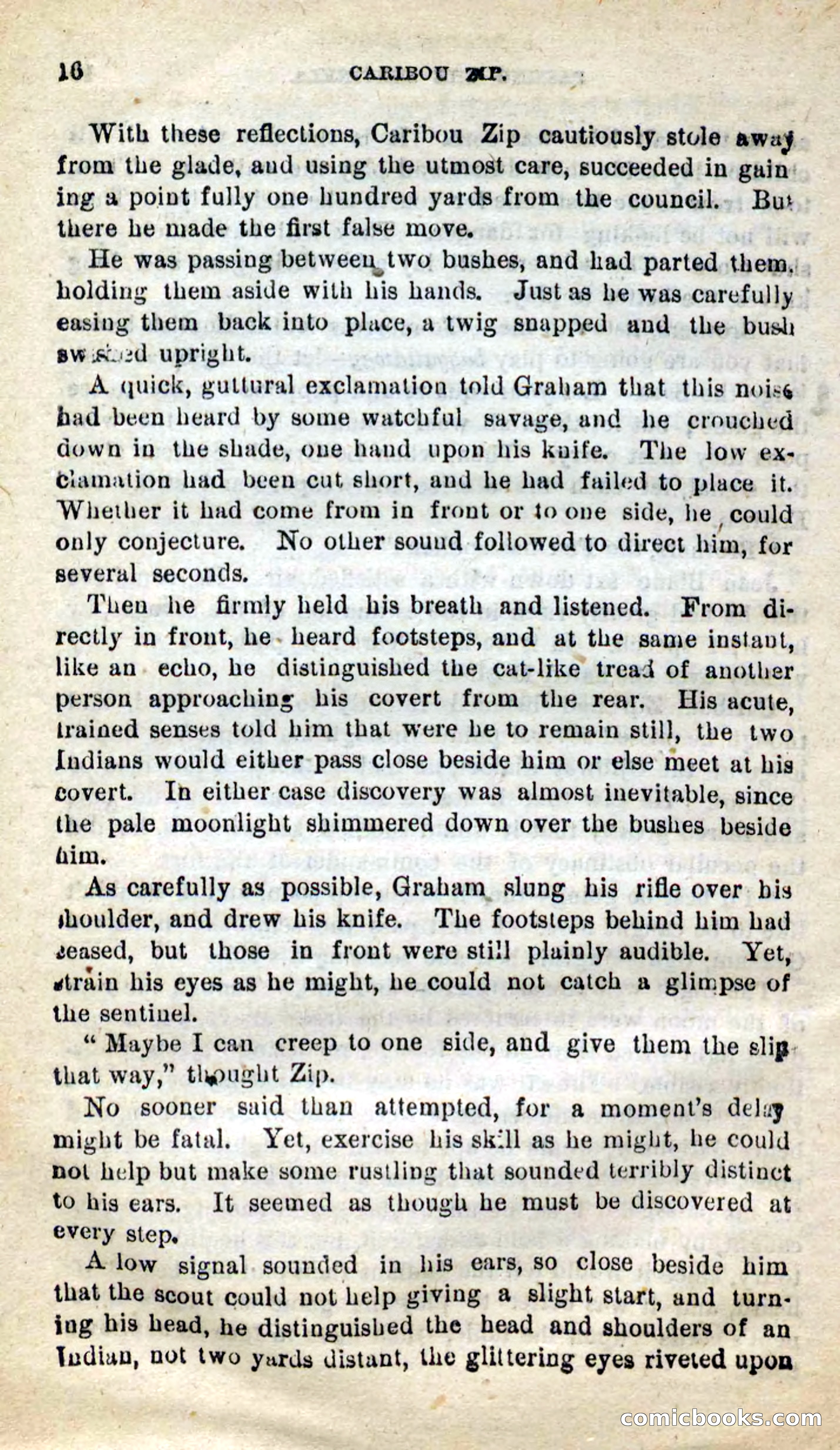 Beadle's New Dime Novels: Caribou Zip — page 12 of 99