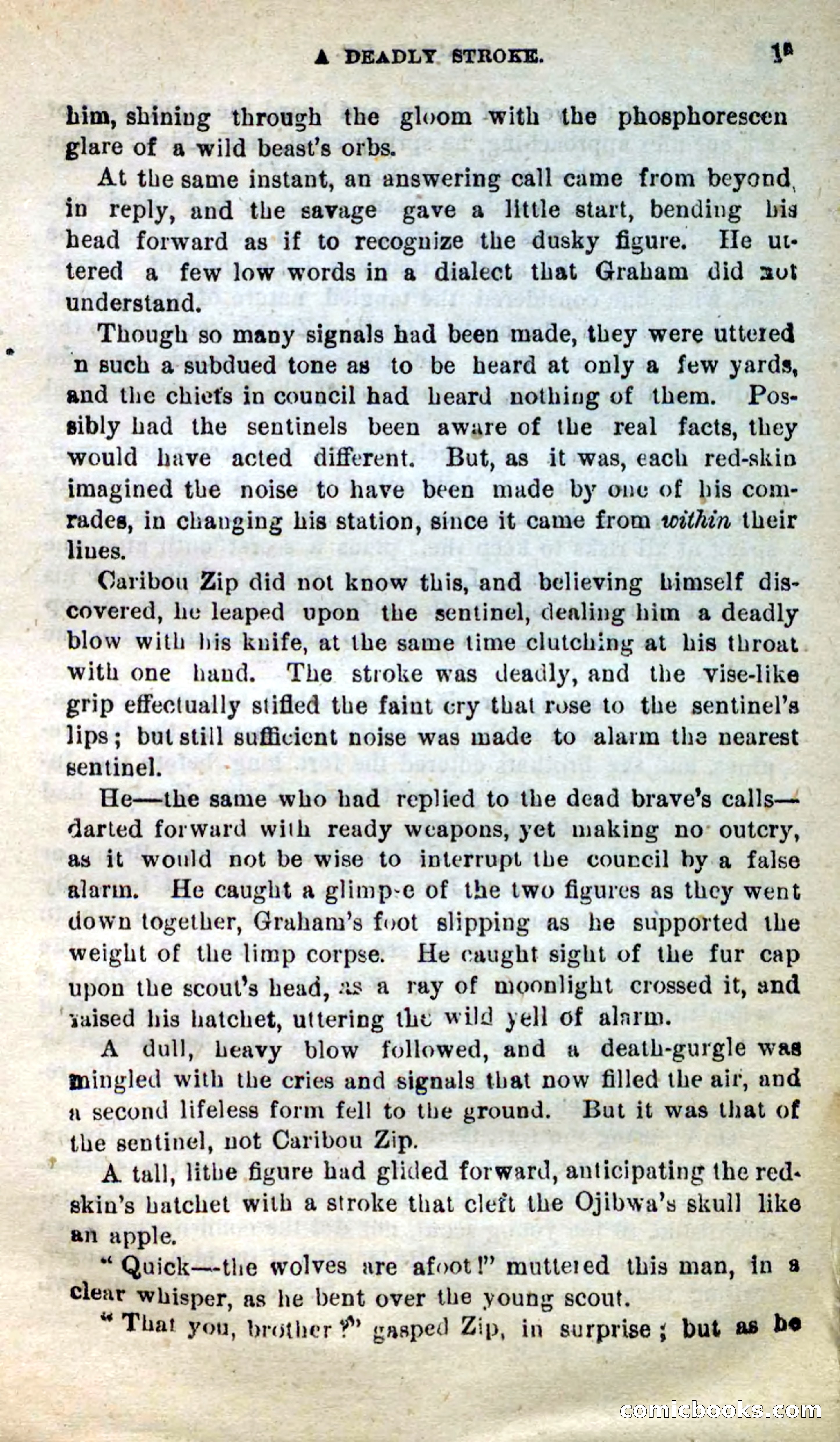 Beadle's New Dime Novels: Caribou Zip — page 13 of 99