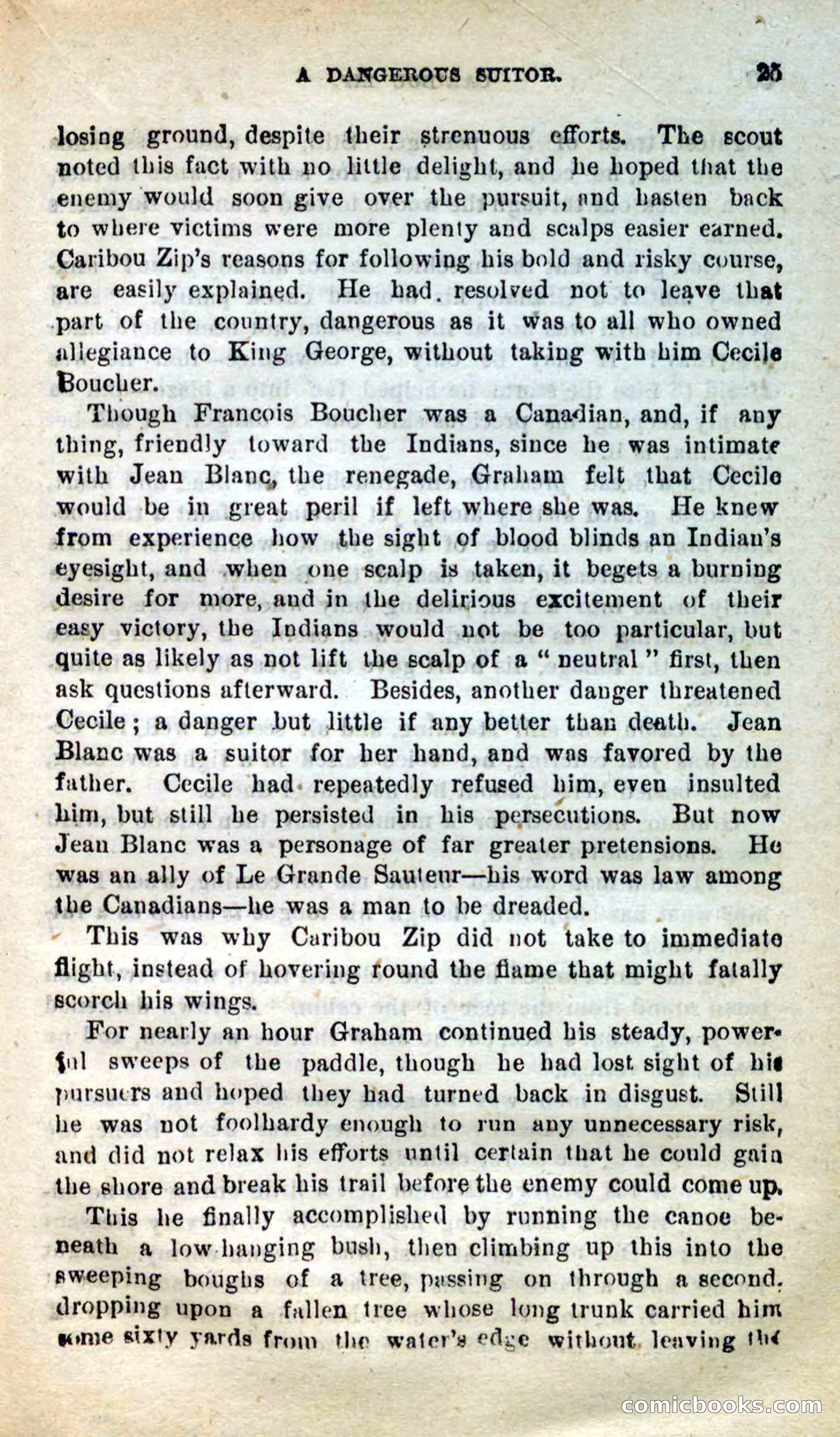 Beadle's New Dime Novels: Caribou Zip — page 21 of 99