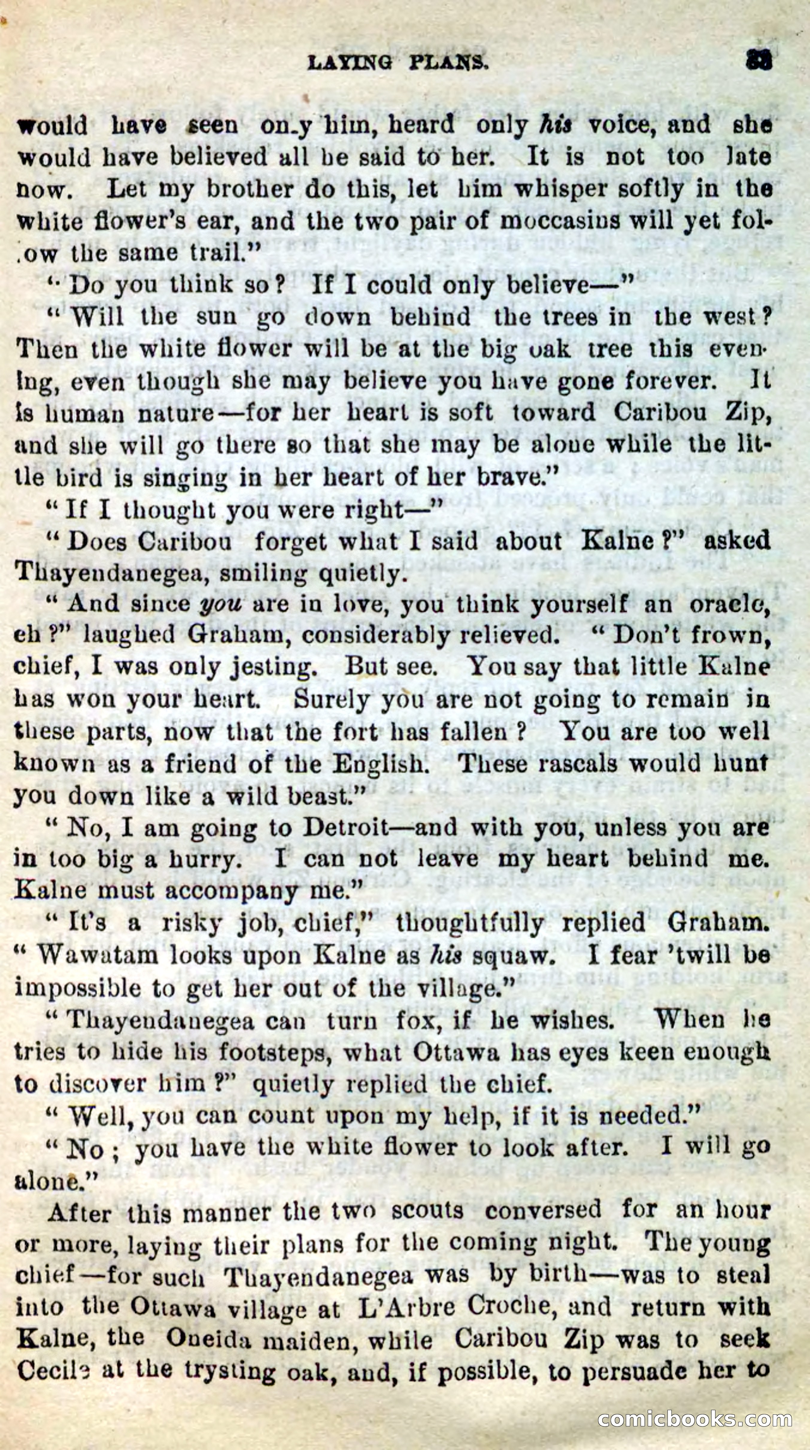 Beadle's New Dime Novels: Caribou Zip — page 29 of 99