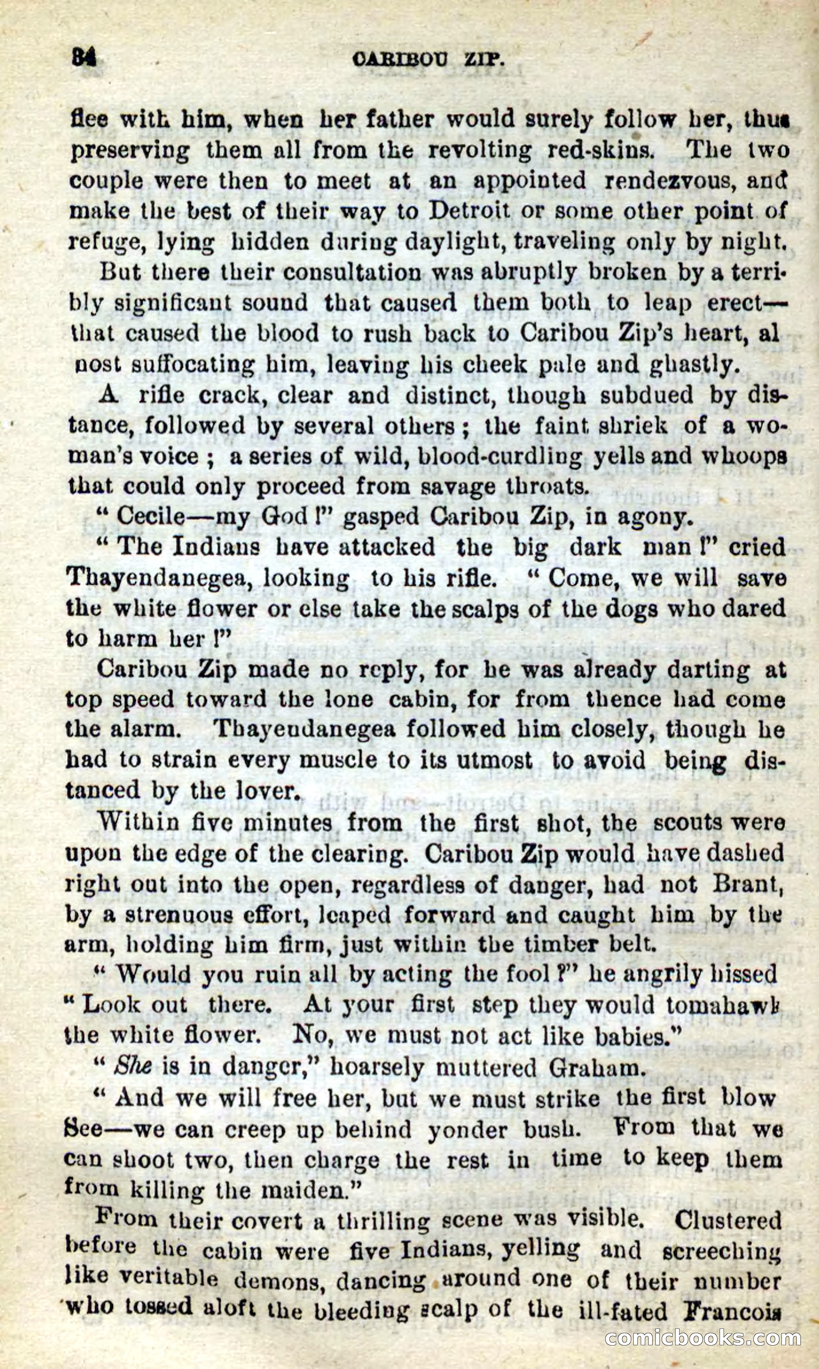 Beadle's New Dime Novels: Caribou Zip — page 30 of 99
