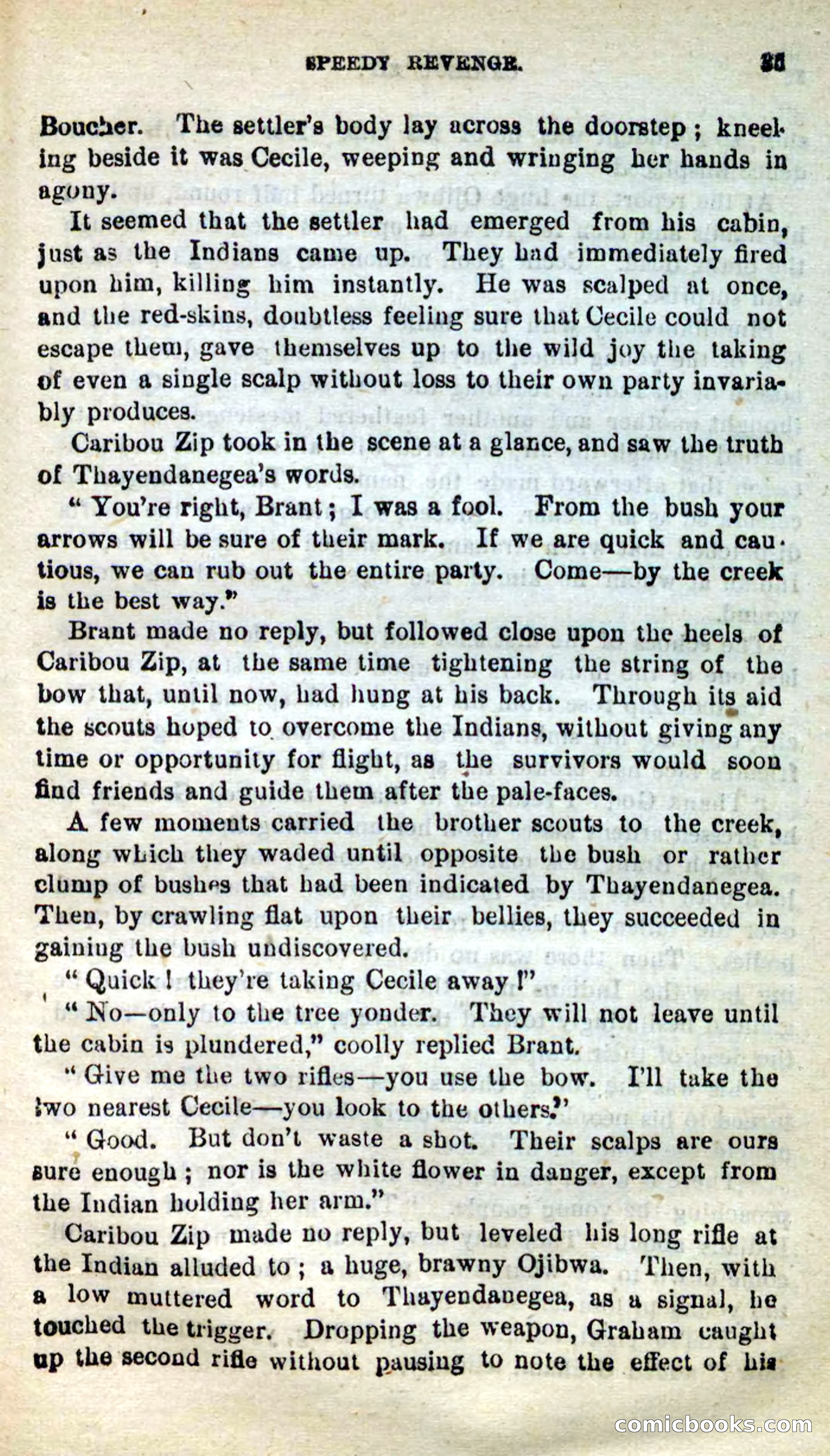 Beadle's New Dime Novels: Caribou Zip — page 31 of 99