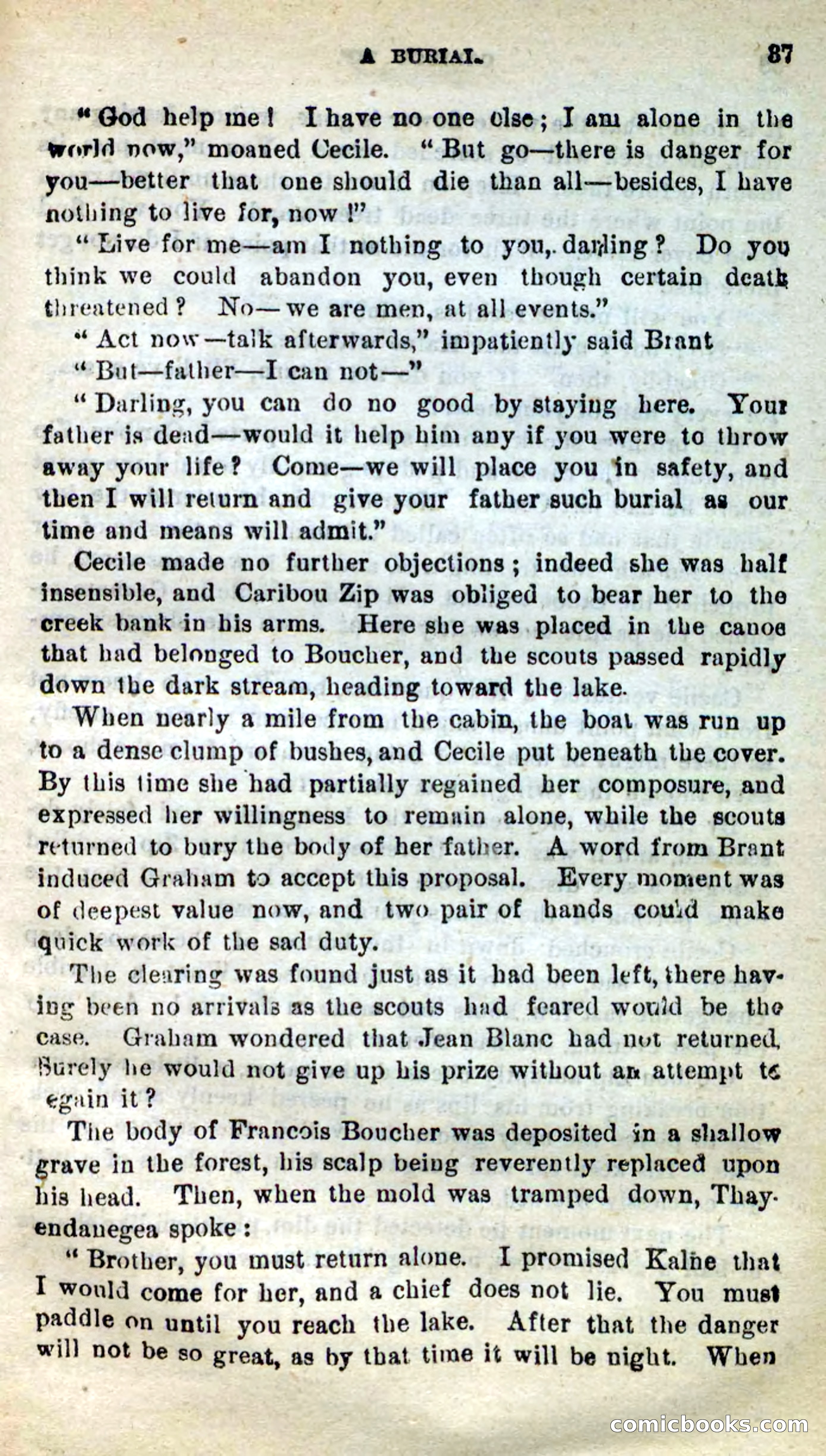 Beadle's New Dime Novels: Caribou Zip — page 33 of 99