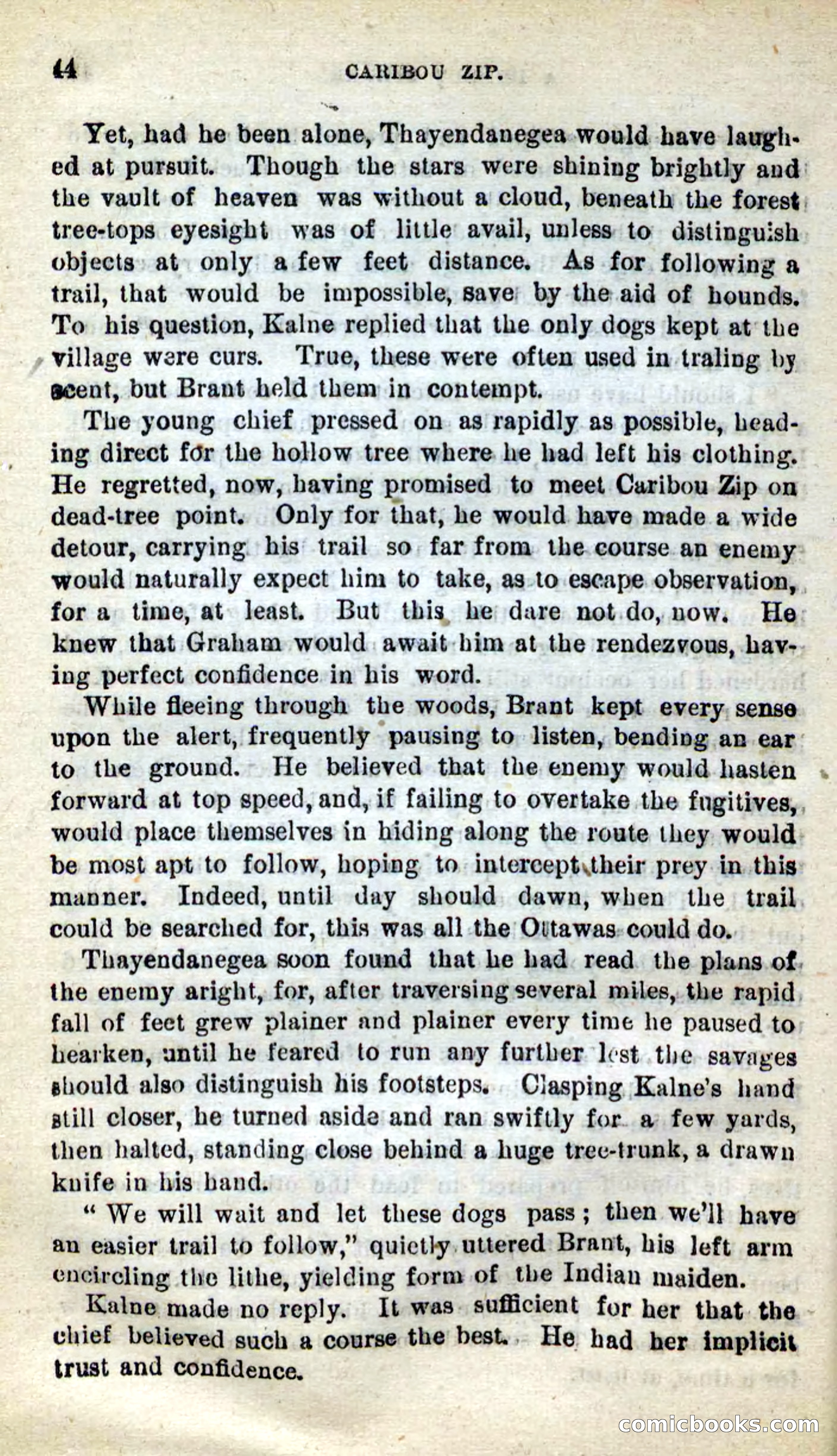 Beadle's New Dime Novels: Caribou Zip — page 40 of 99
