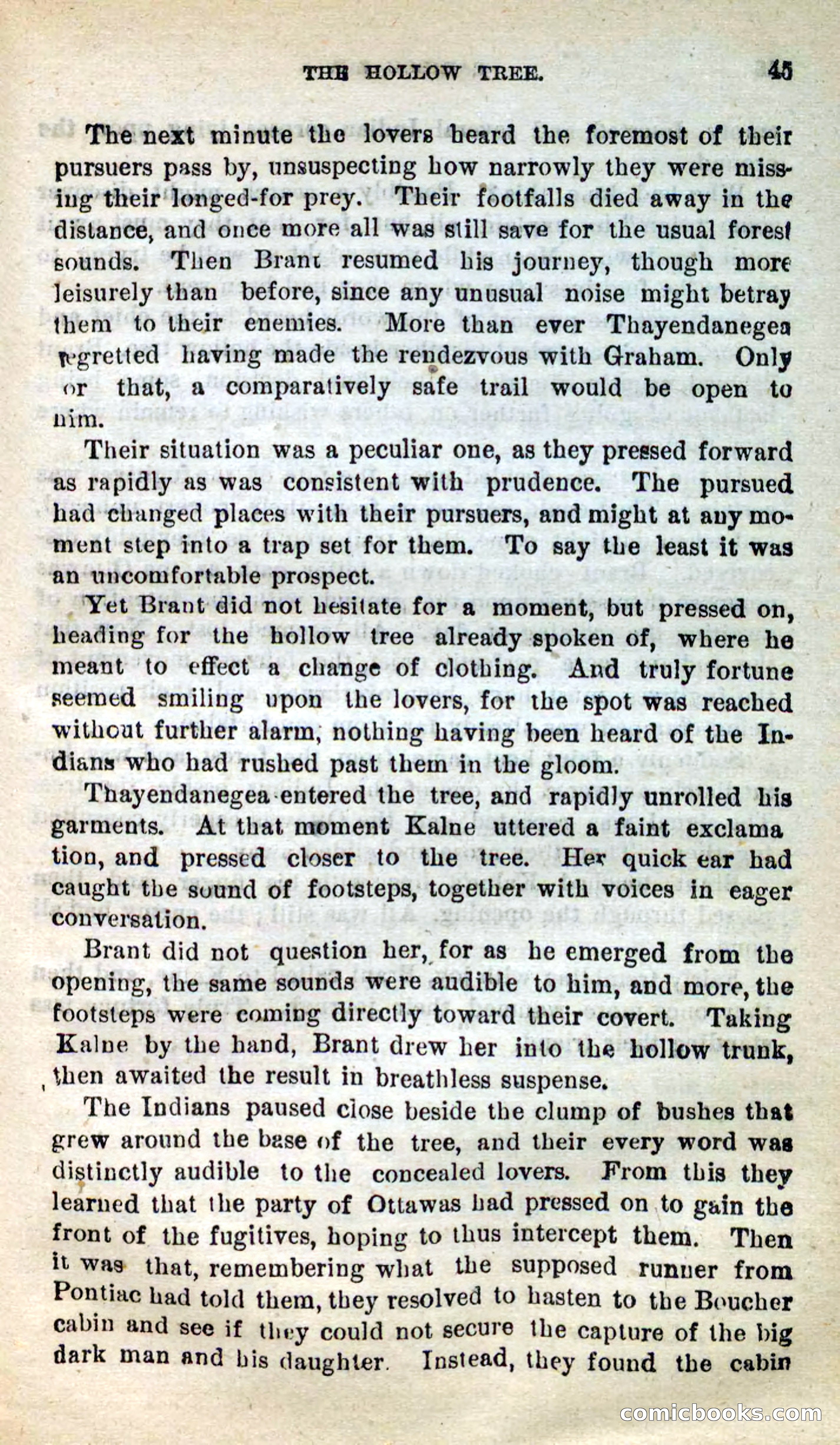Beadle's New Dime Novels: Caribou Zip — page 41 of 99
