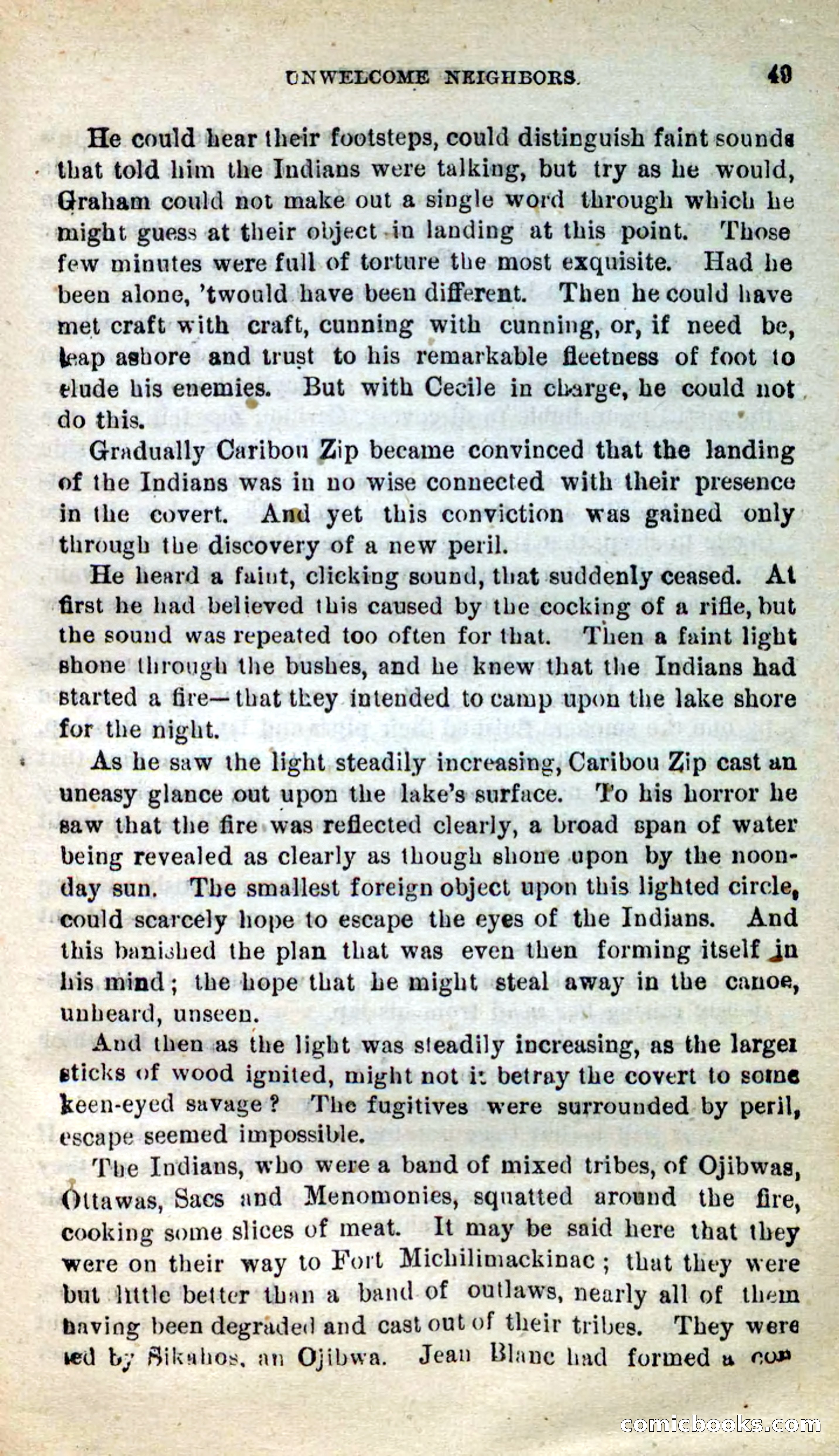 Beadle's New Dime Novels: Caribou Zip — page 45 of 99