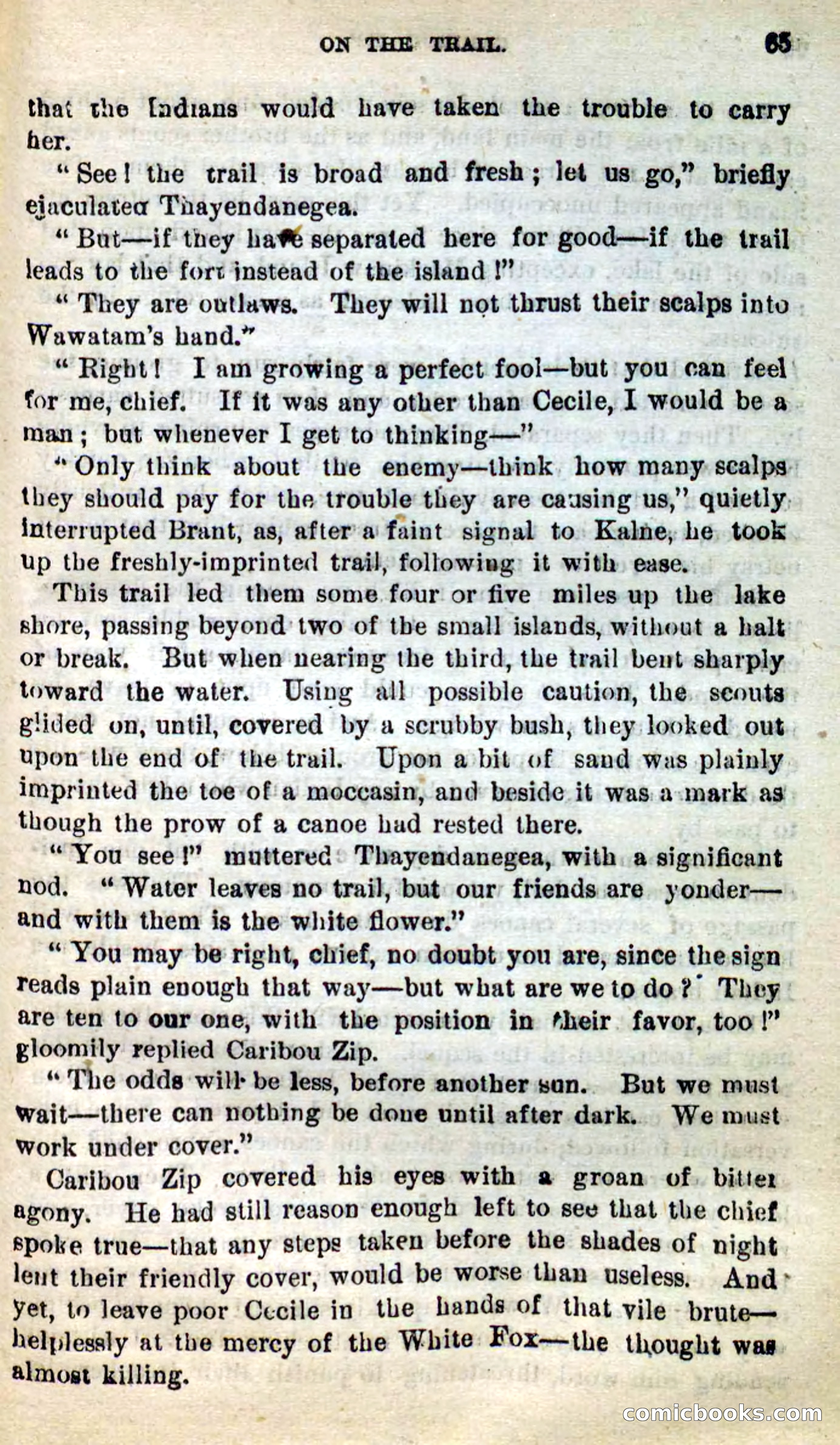 Beadle's New Dime Novels: Caribou Zip — page 61 of 99