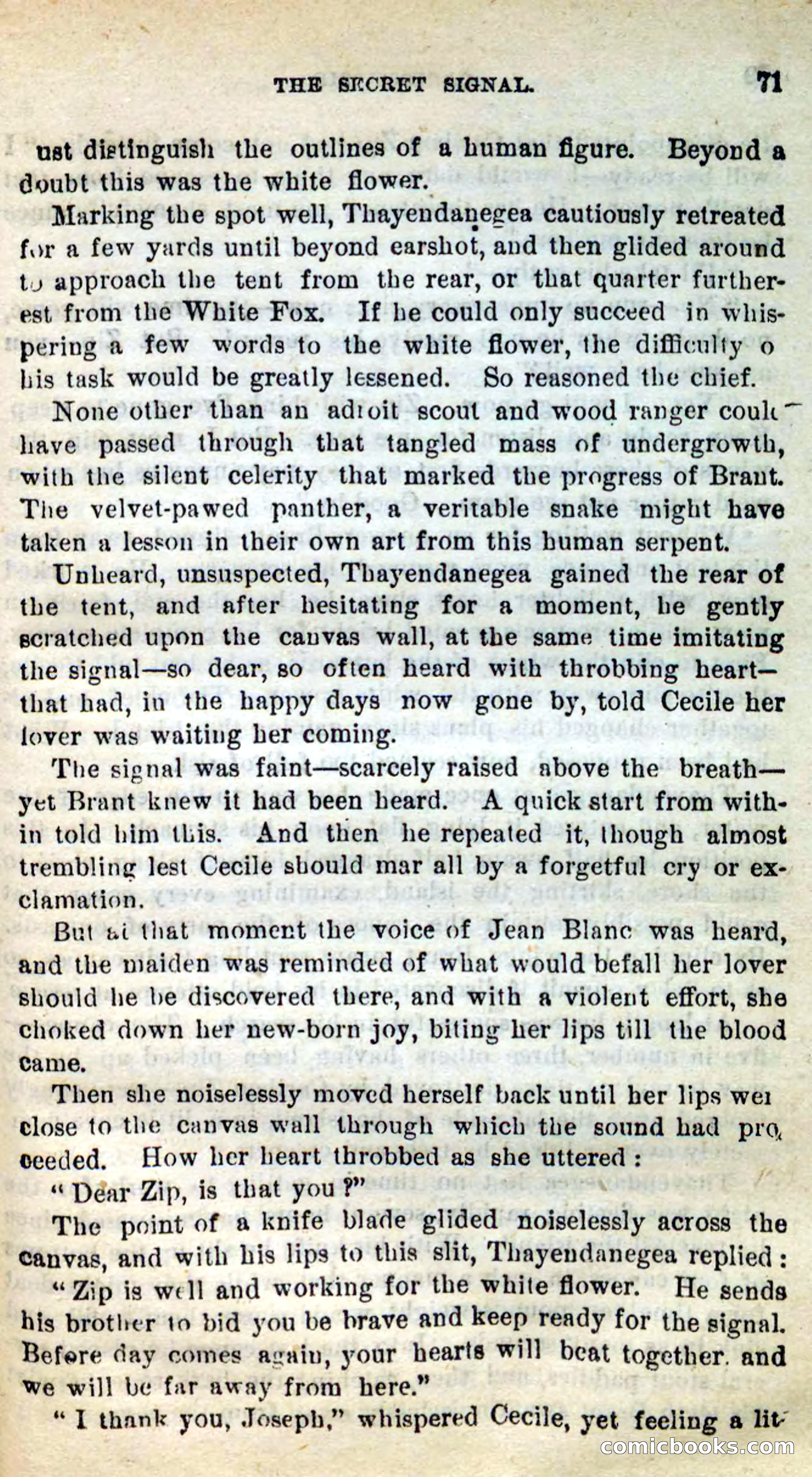 Beadle's New Dime Novels: Caribou Zip — page 67 of 99