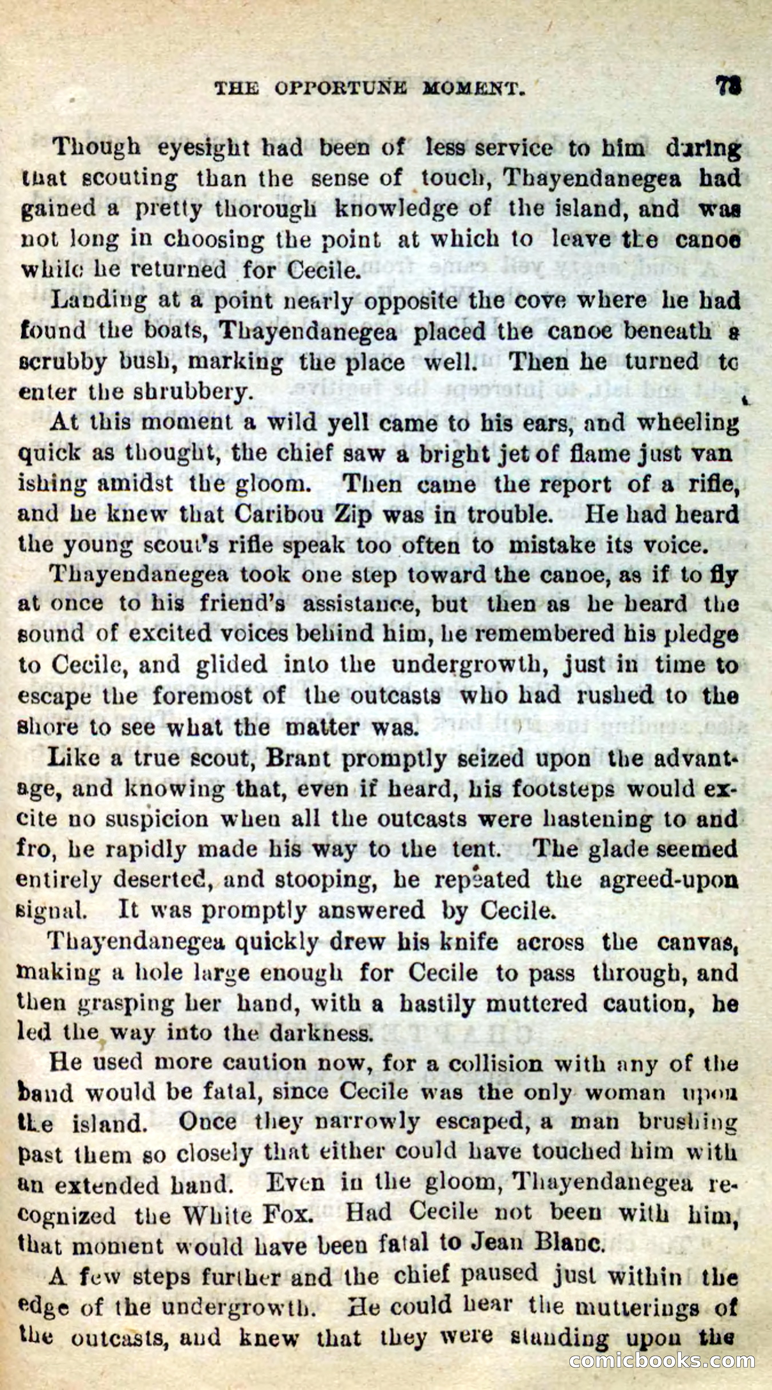 Beadle's New Dime Novels: Caribou Zip — page 69 of 99