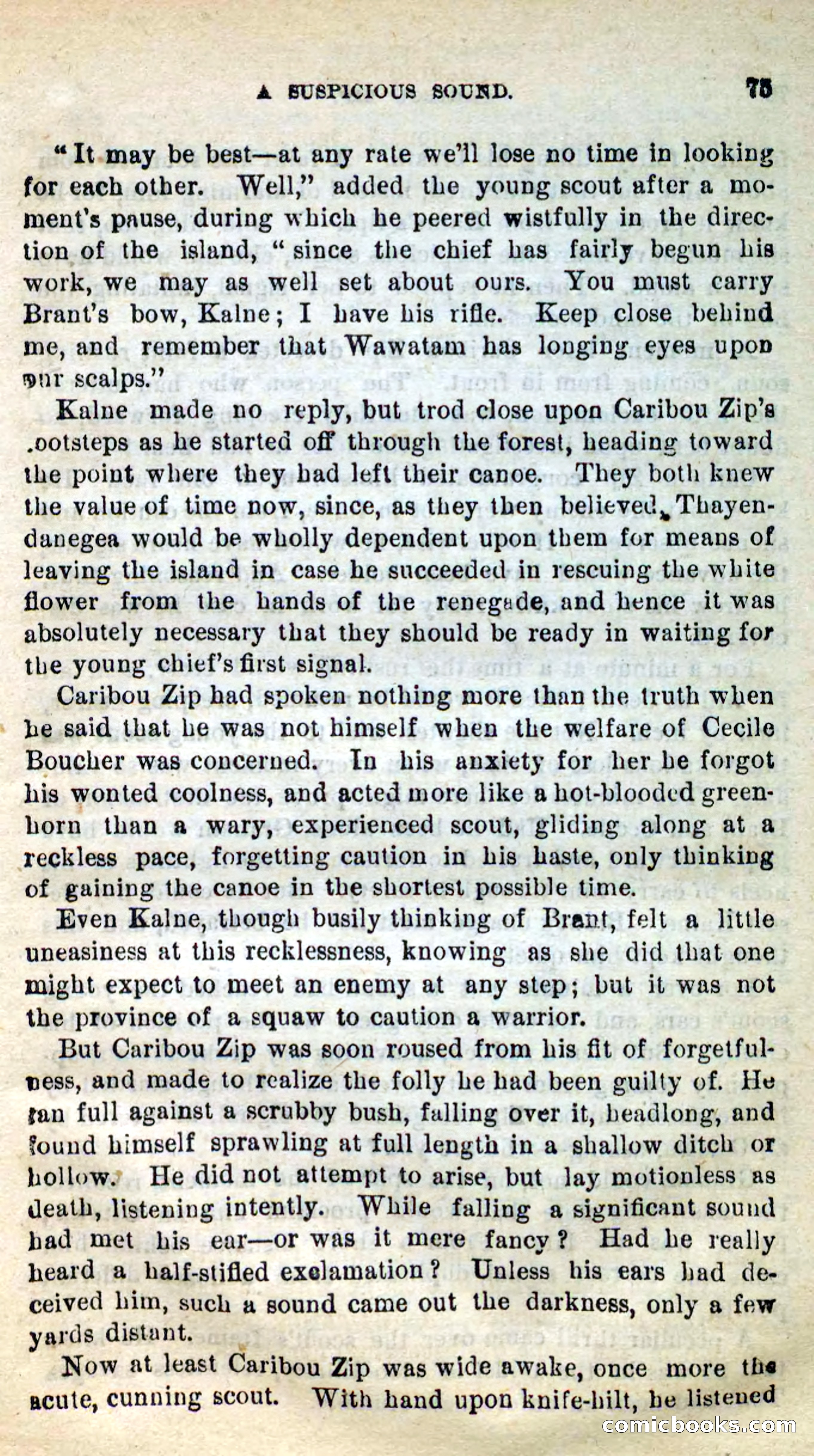 Beadle's New Dime Novels: Caribou Zip — page 71 of 99