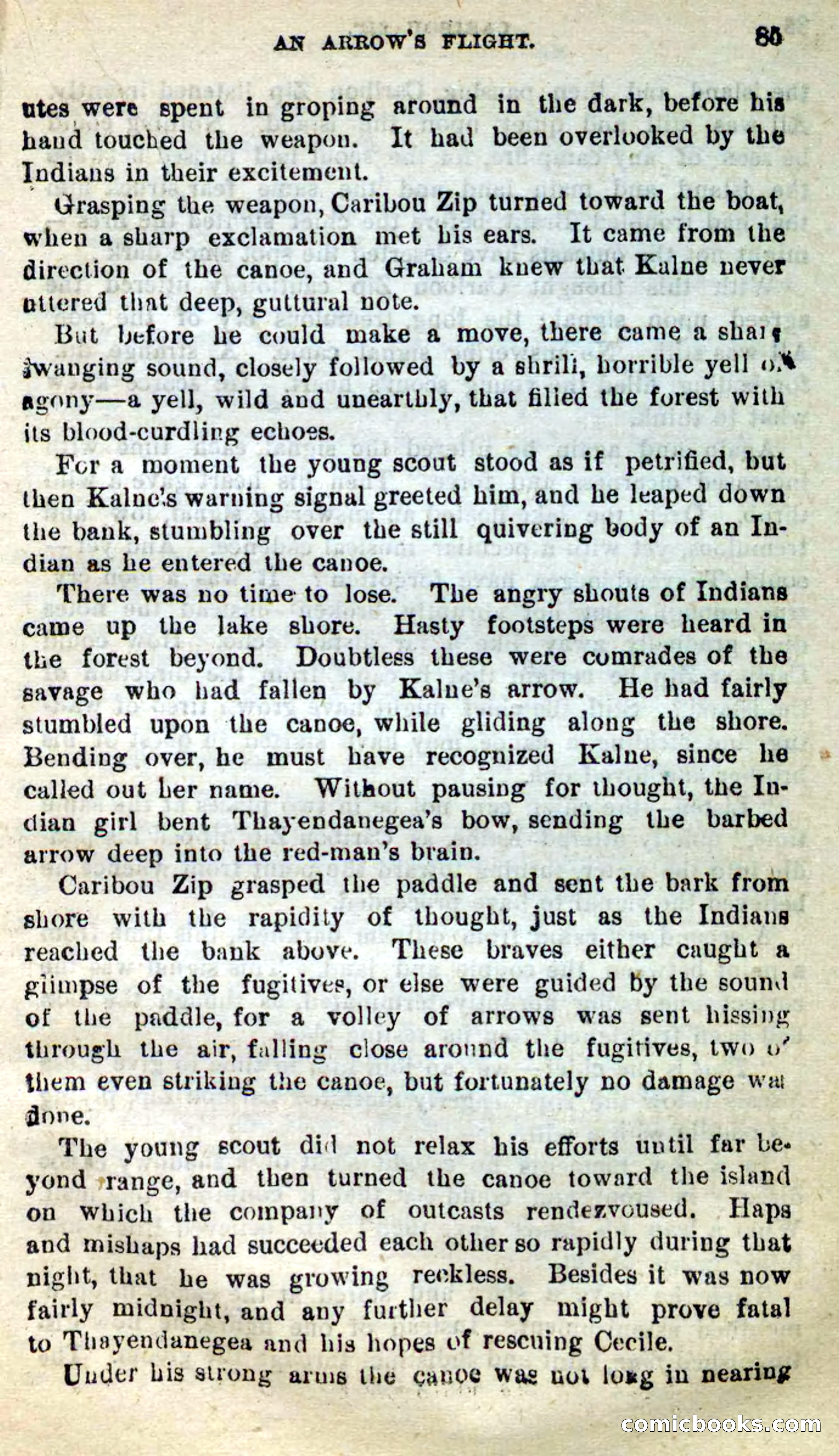 Beadle's New Dime Novels: Caribou Zip — page 81 of 99