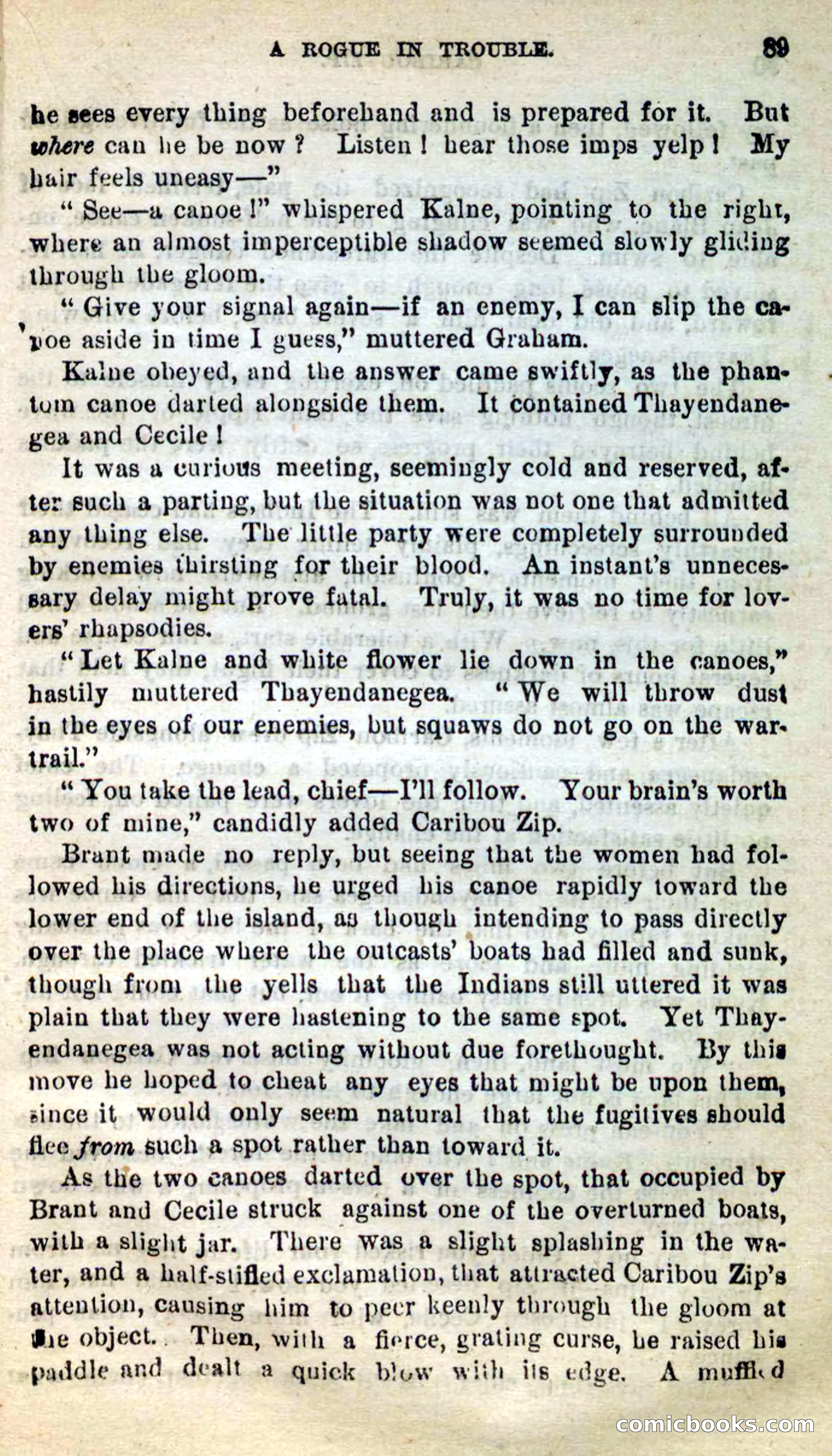 Beadle's New Dime Novels: Caribou Zip — page 85 of 99