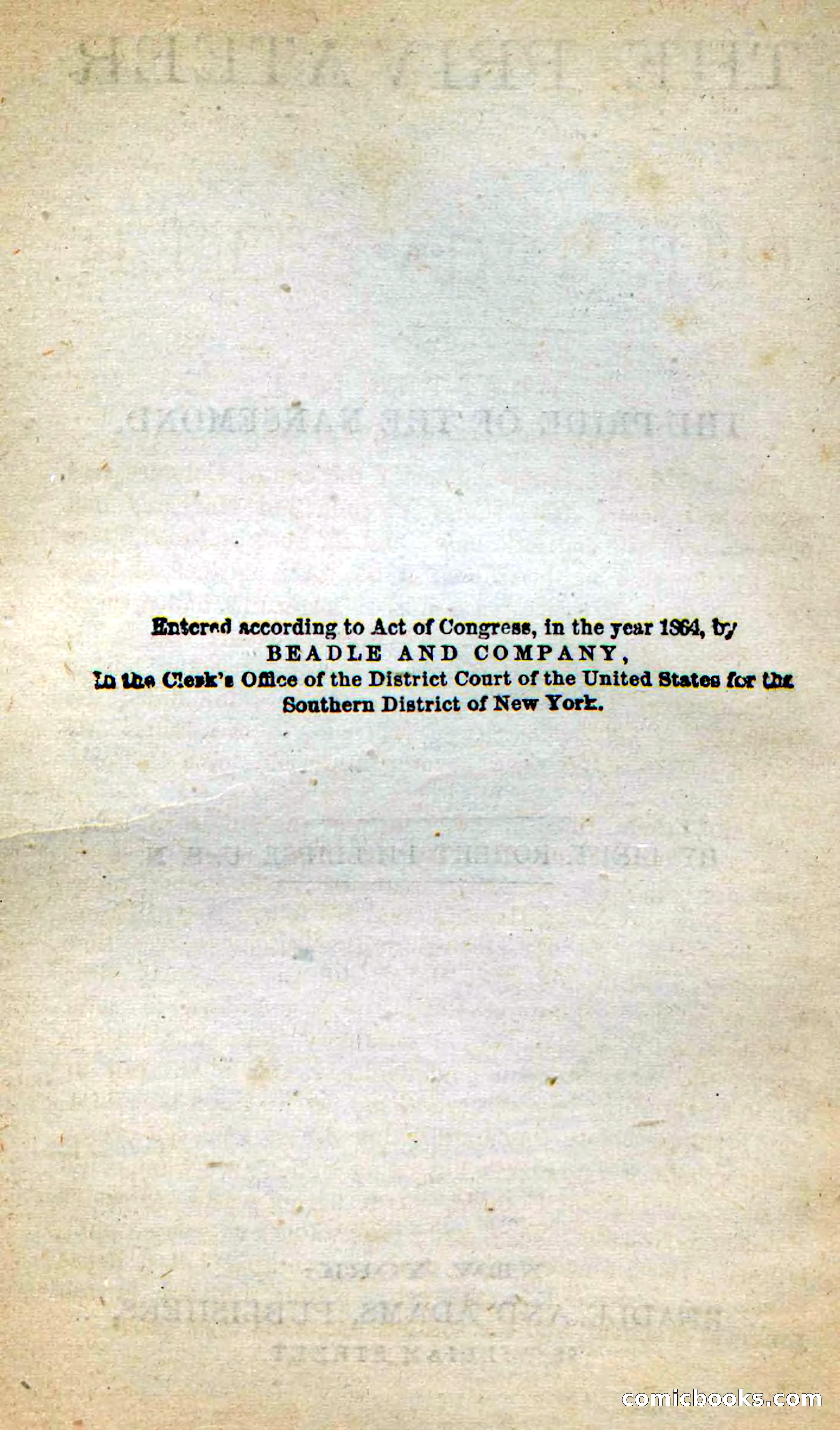Beadle's New Dime Novels: The Privateer — page 4 of 98
