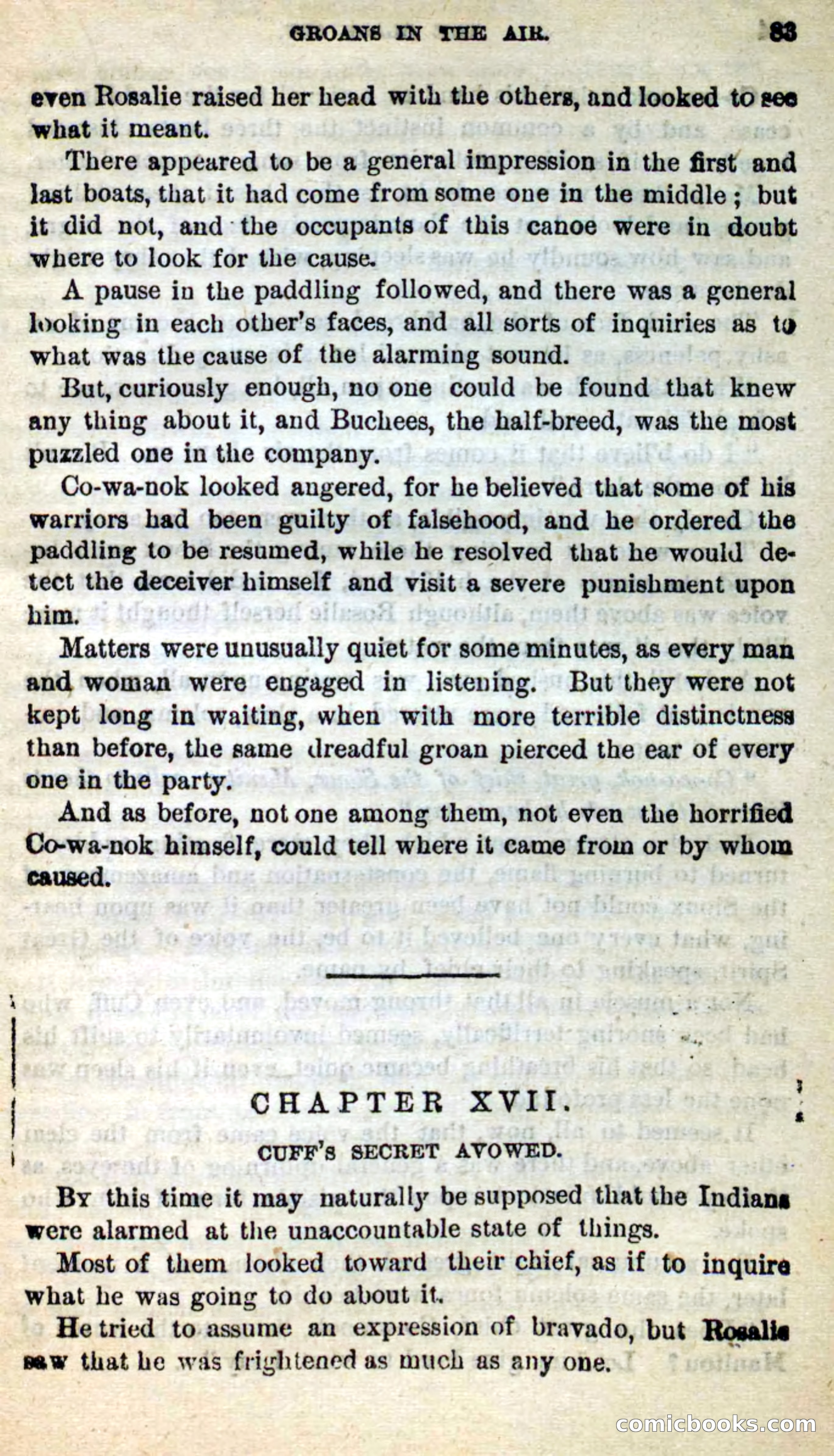 The Black Spy — page 79 of 102