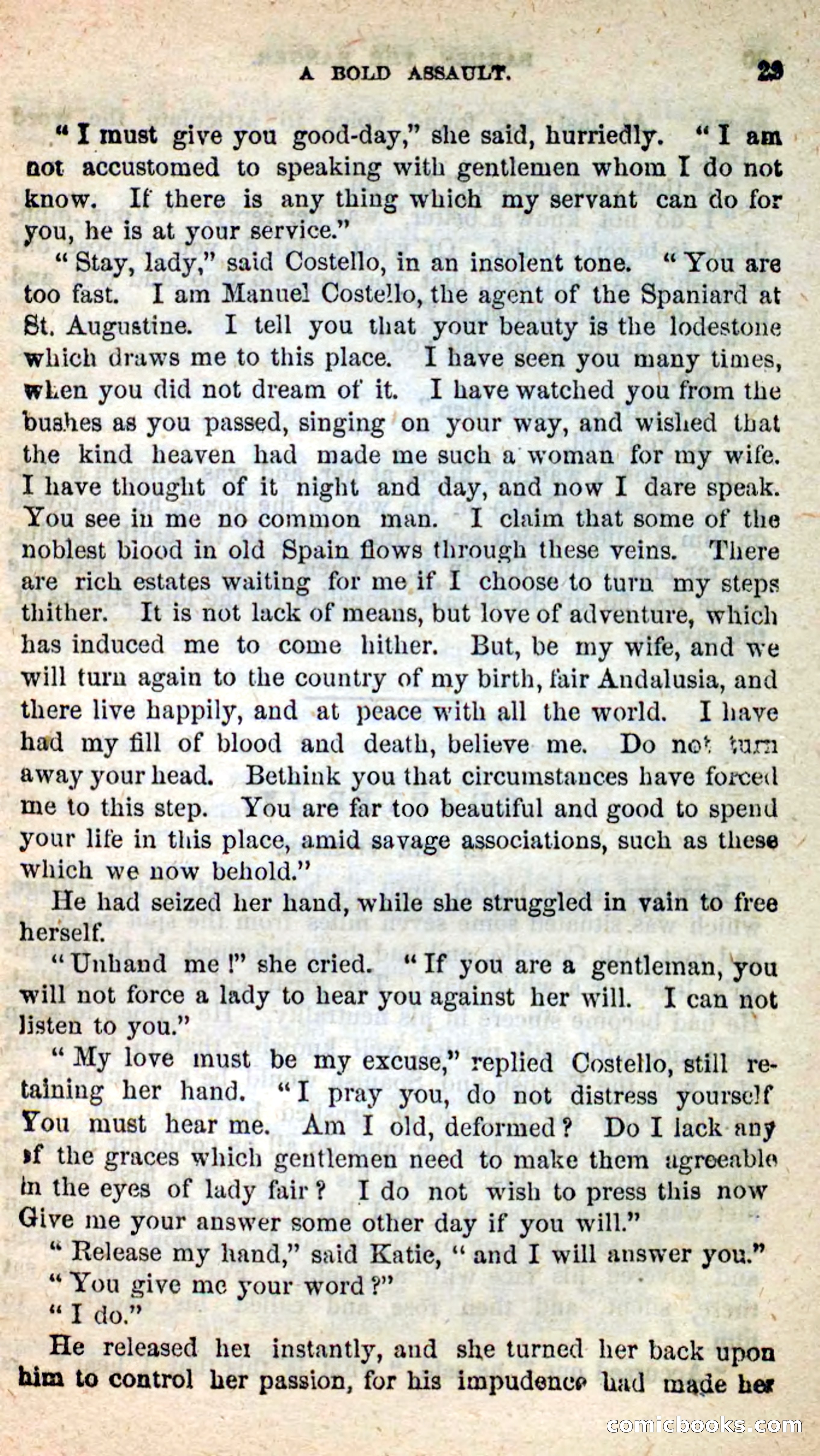 Beadle's New Dime Novels: Barden, the Ranger — page 21 of 92