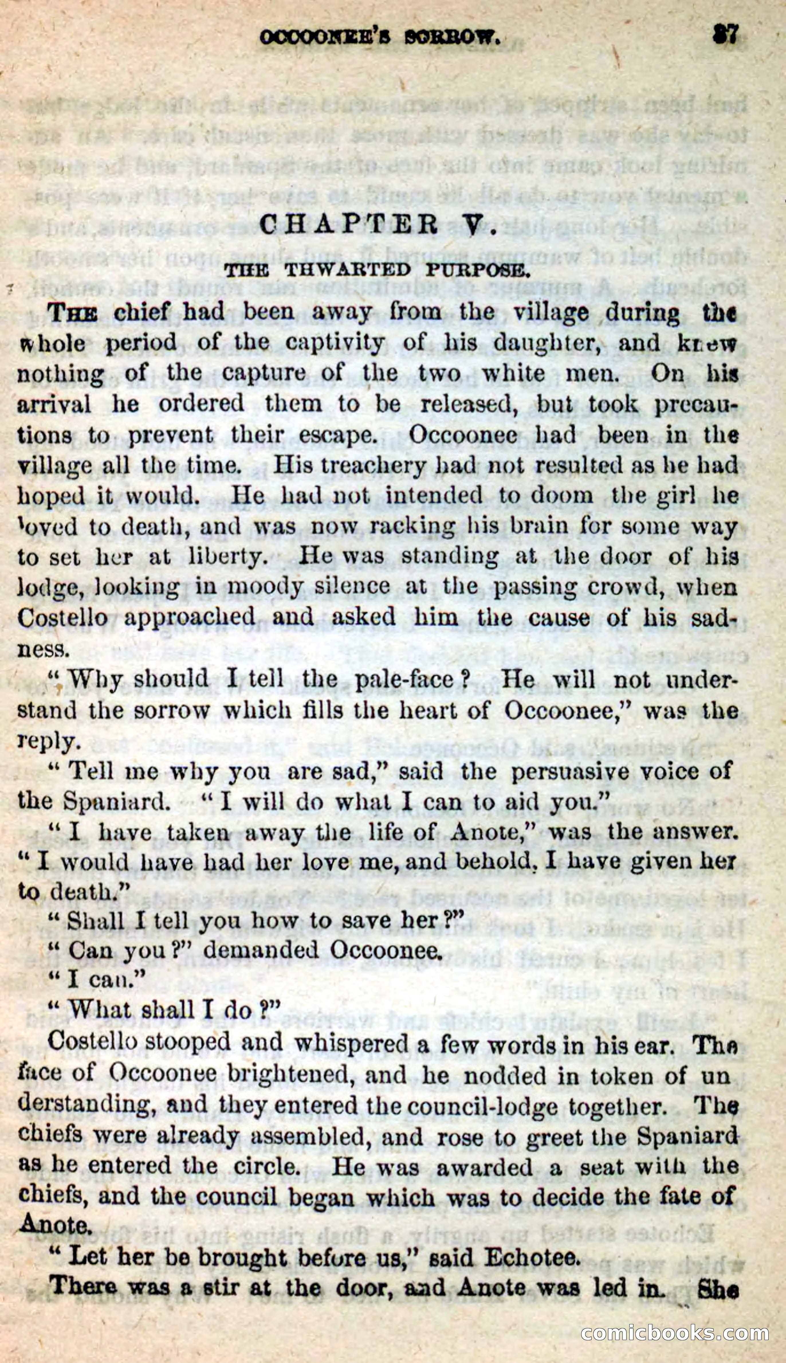 Beadle's New Dime Novels: Barden, the Ranger — page 29 of 92