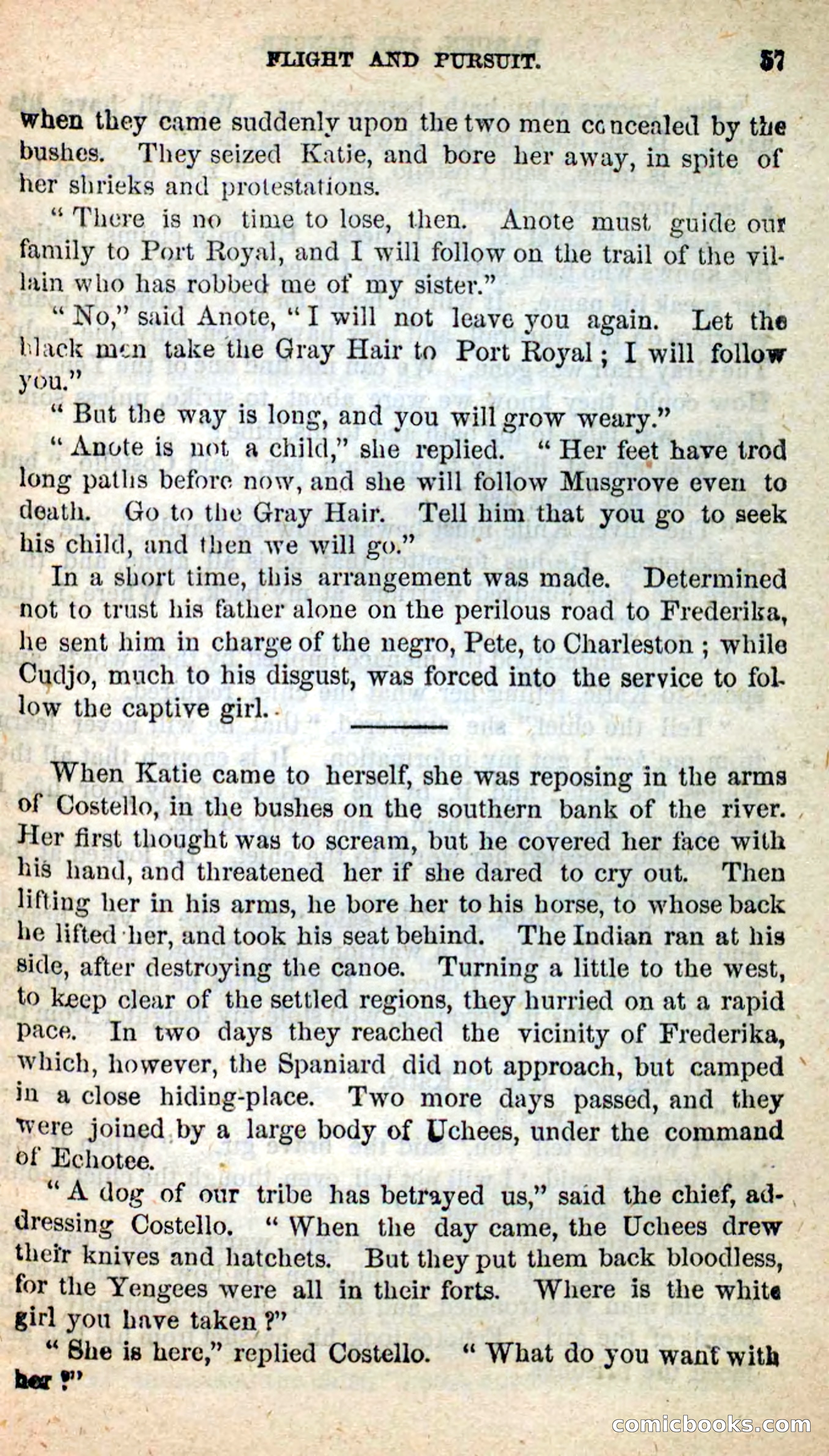 Beadle's New Dime Novels: Barden, the Ranger — page 49 of 92