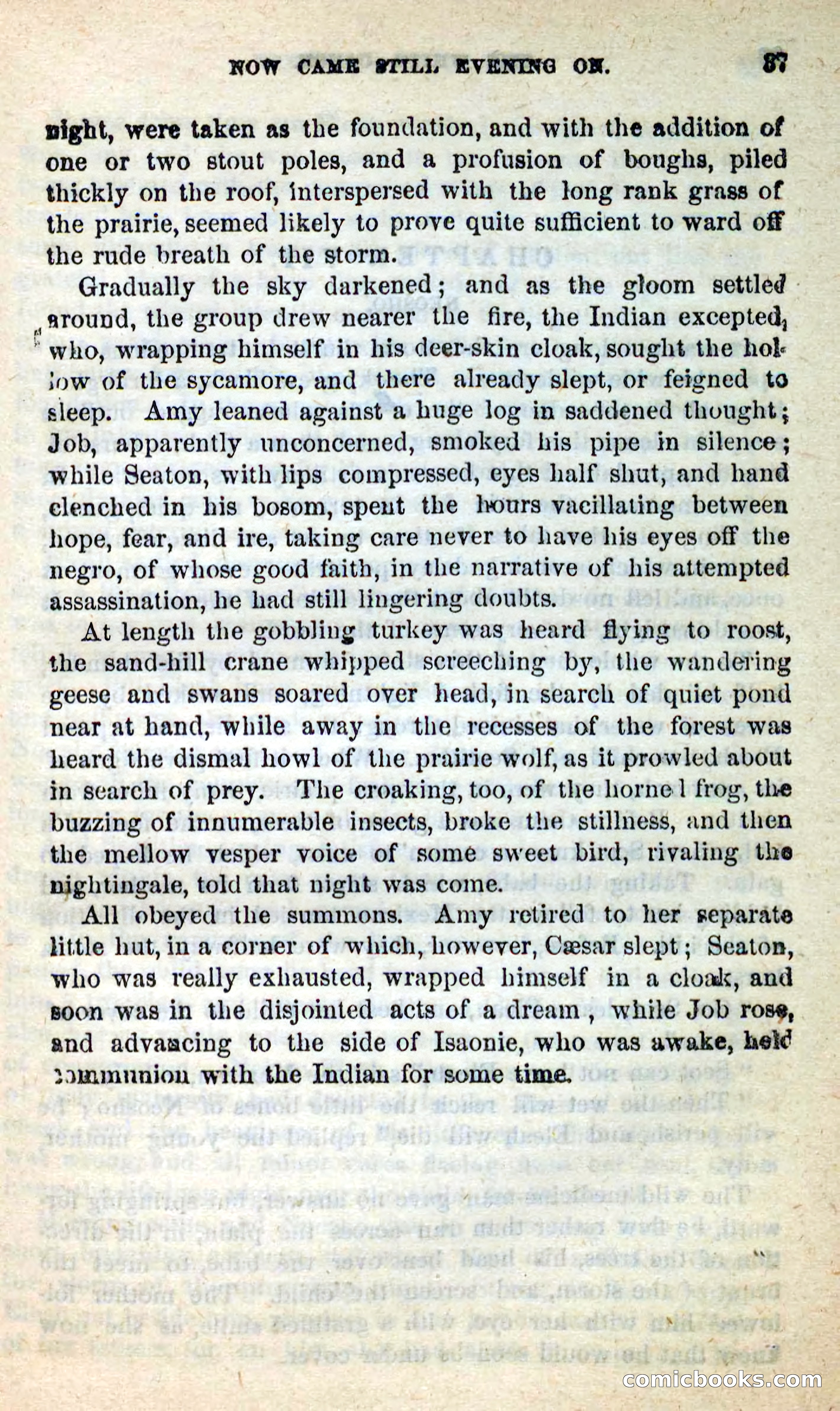 The White Canoe — page 33 of 100