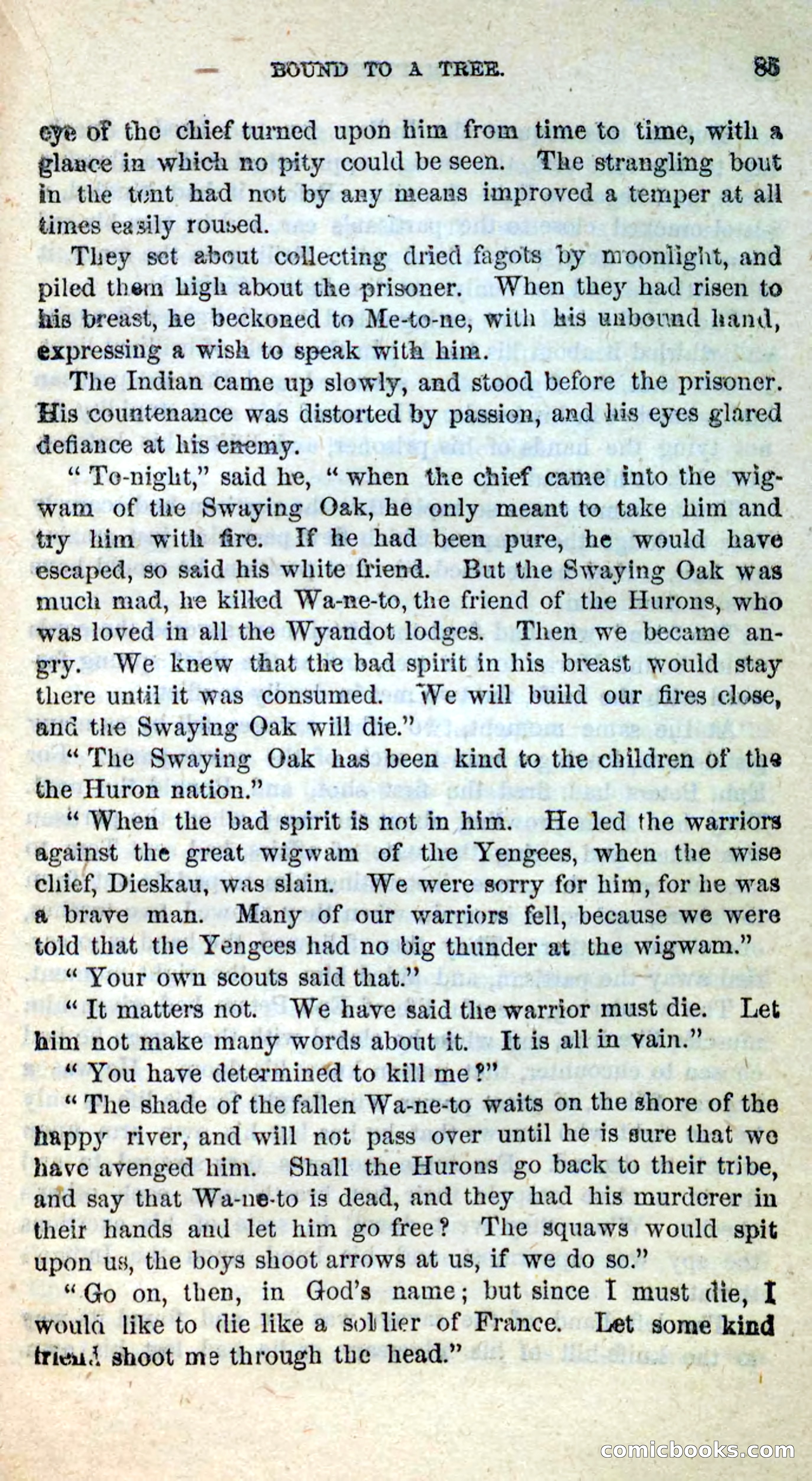 Beadle's New Dime Novels: Eph Peters — page 81 of 100