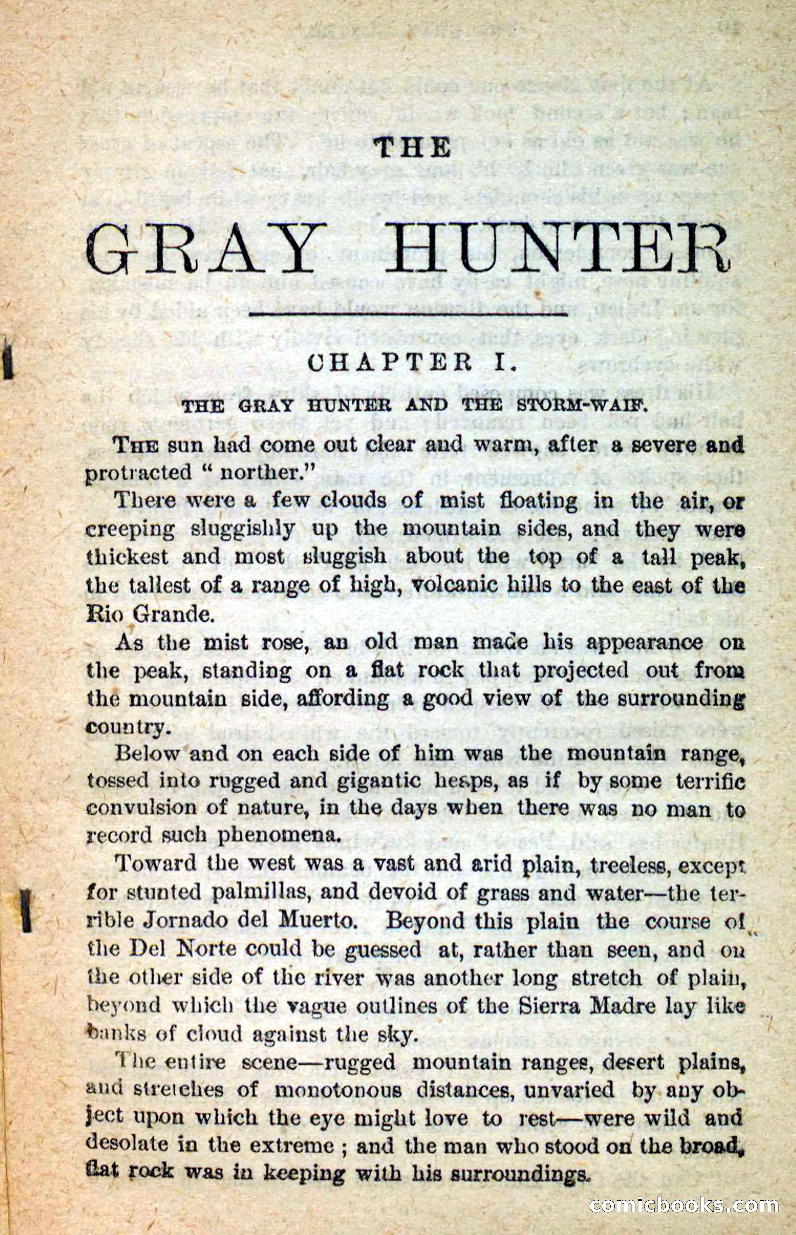 The Gray Hunter — page 5 of 101