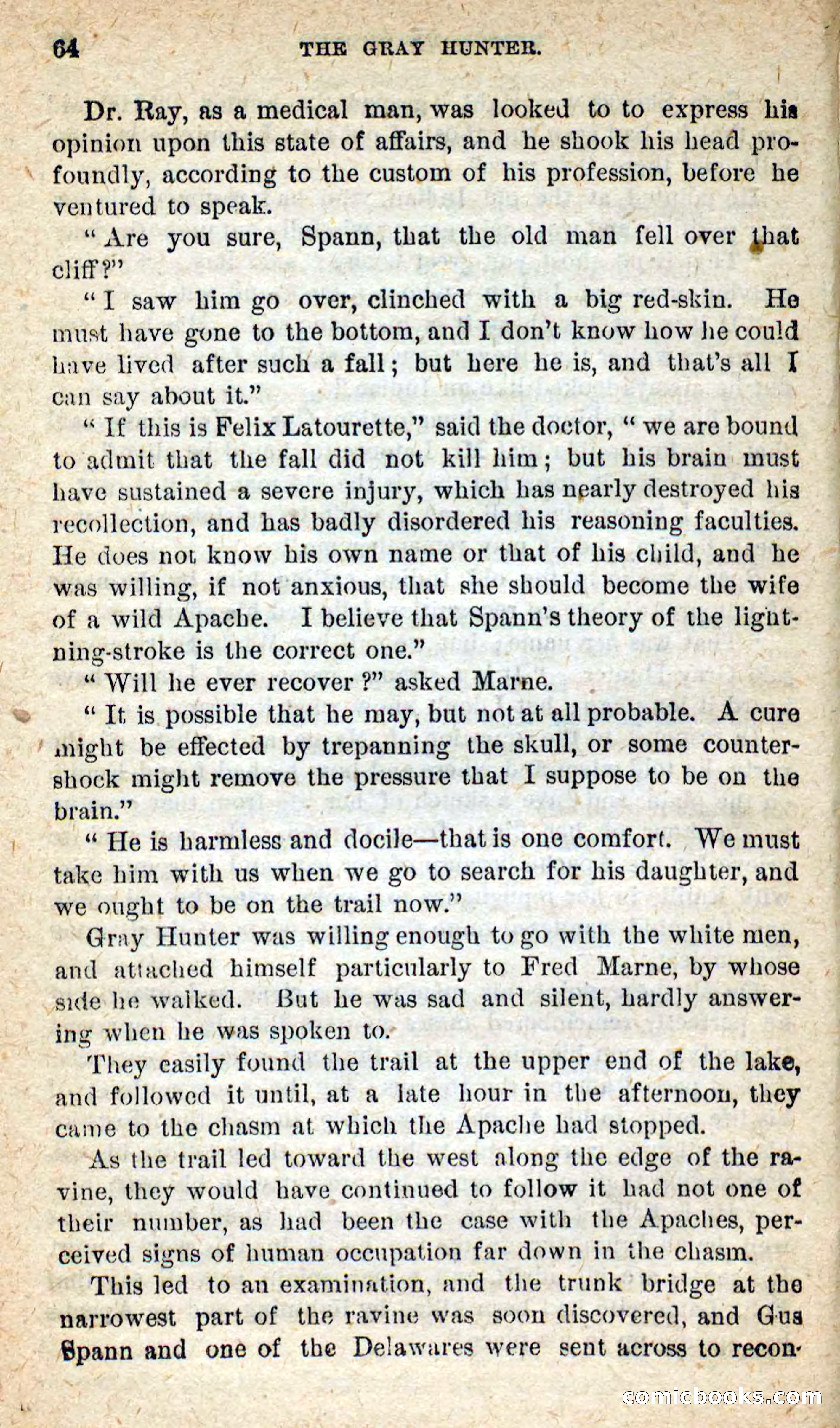 The Gray Hunter — page 61 of 101