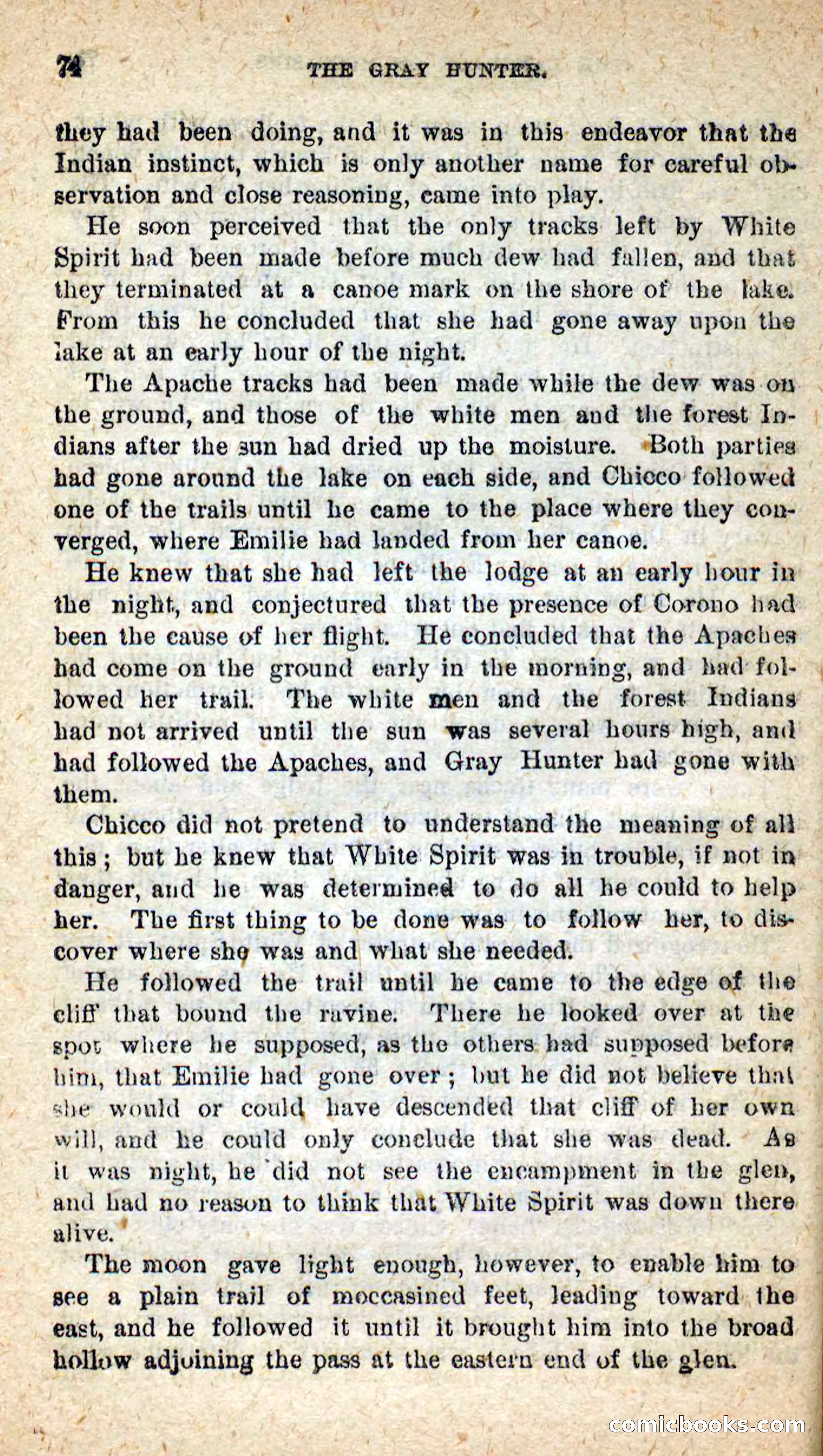 The Gray Hunter — page 71 of 101