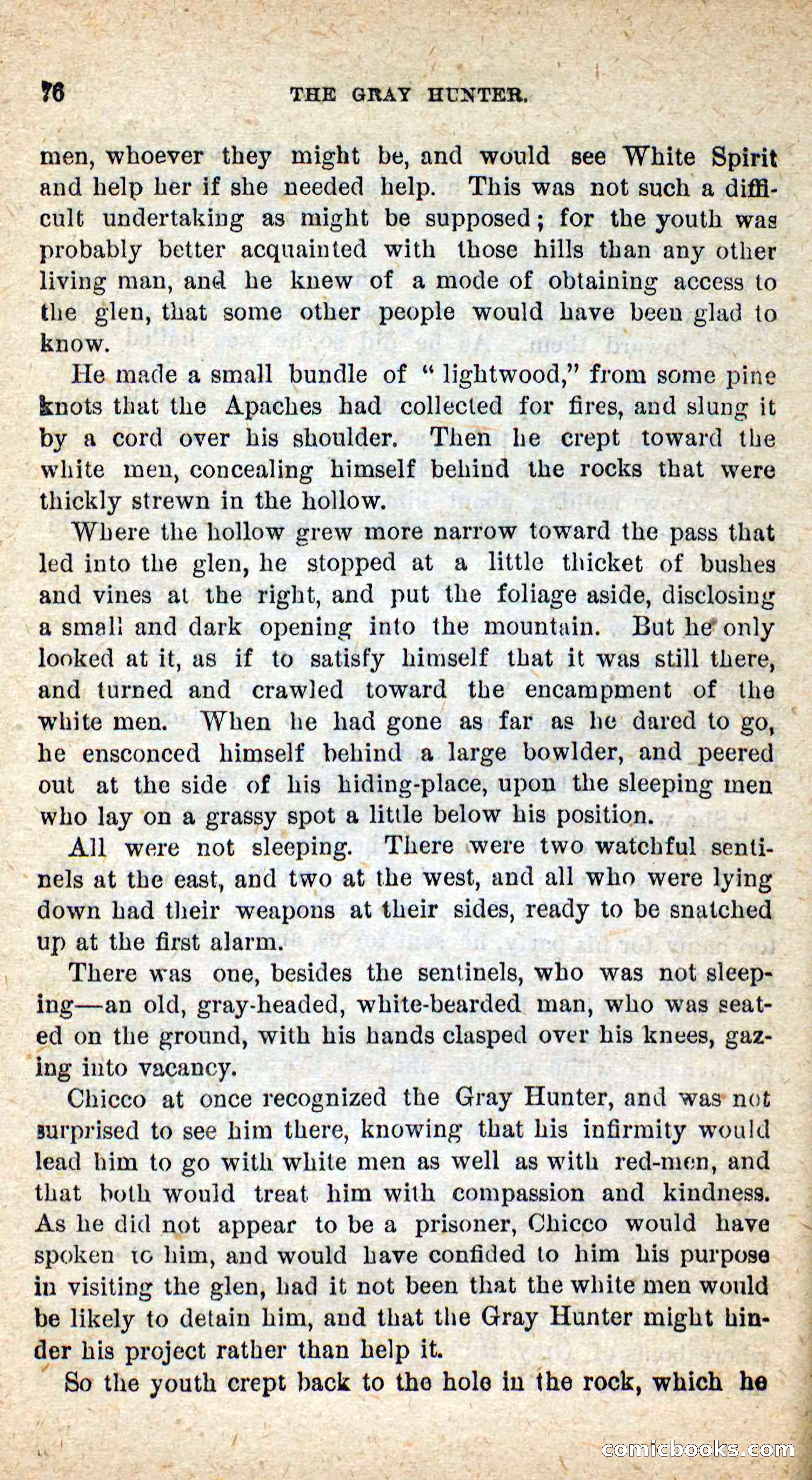 The Gray Hunter — page 73 of 101