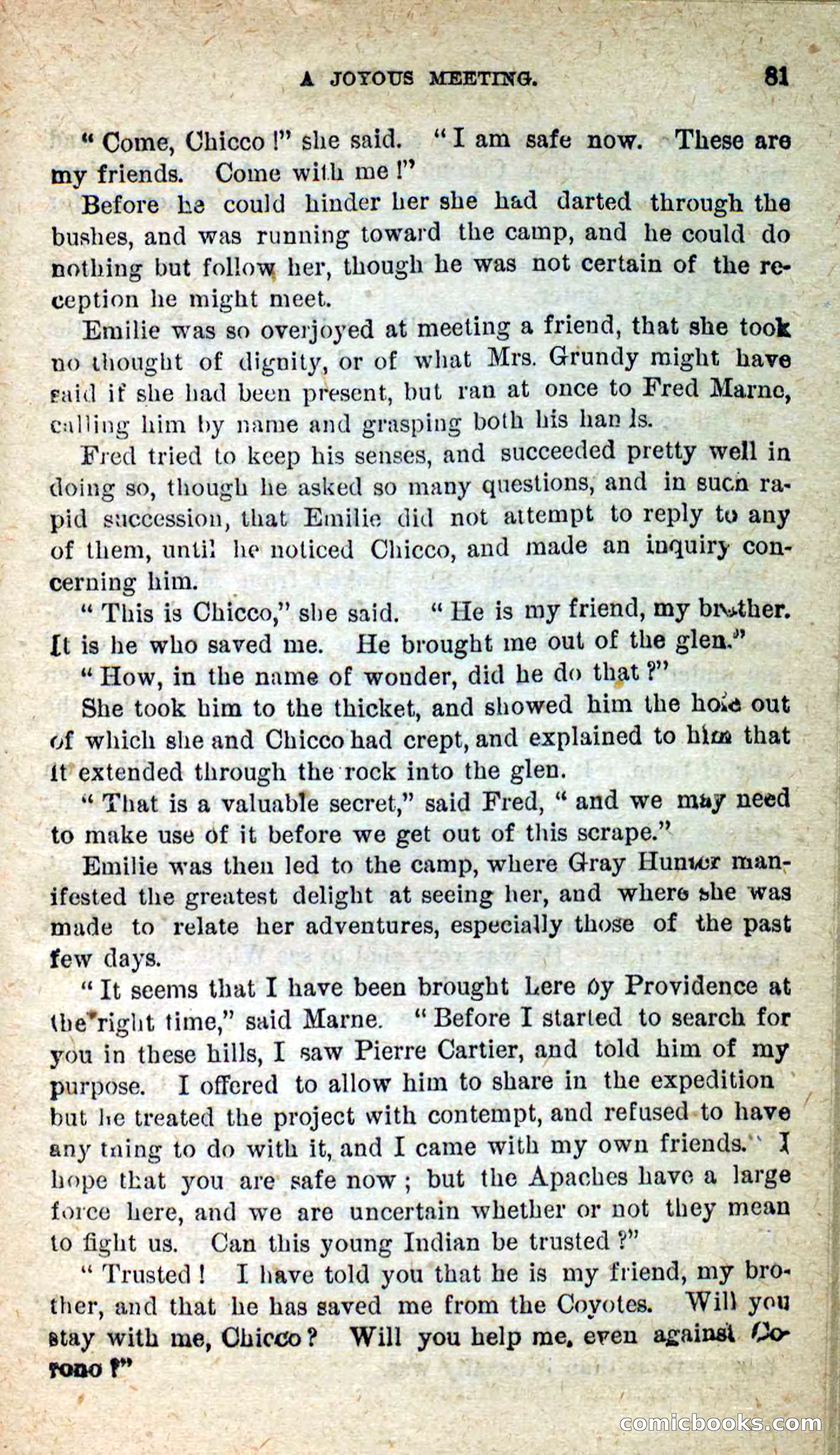 The Gray Hunter — page 78 of 101
