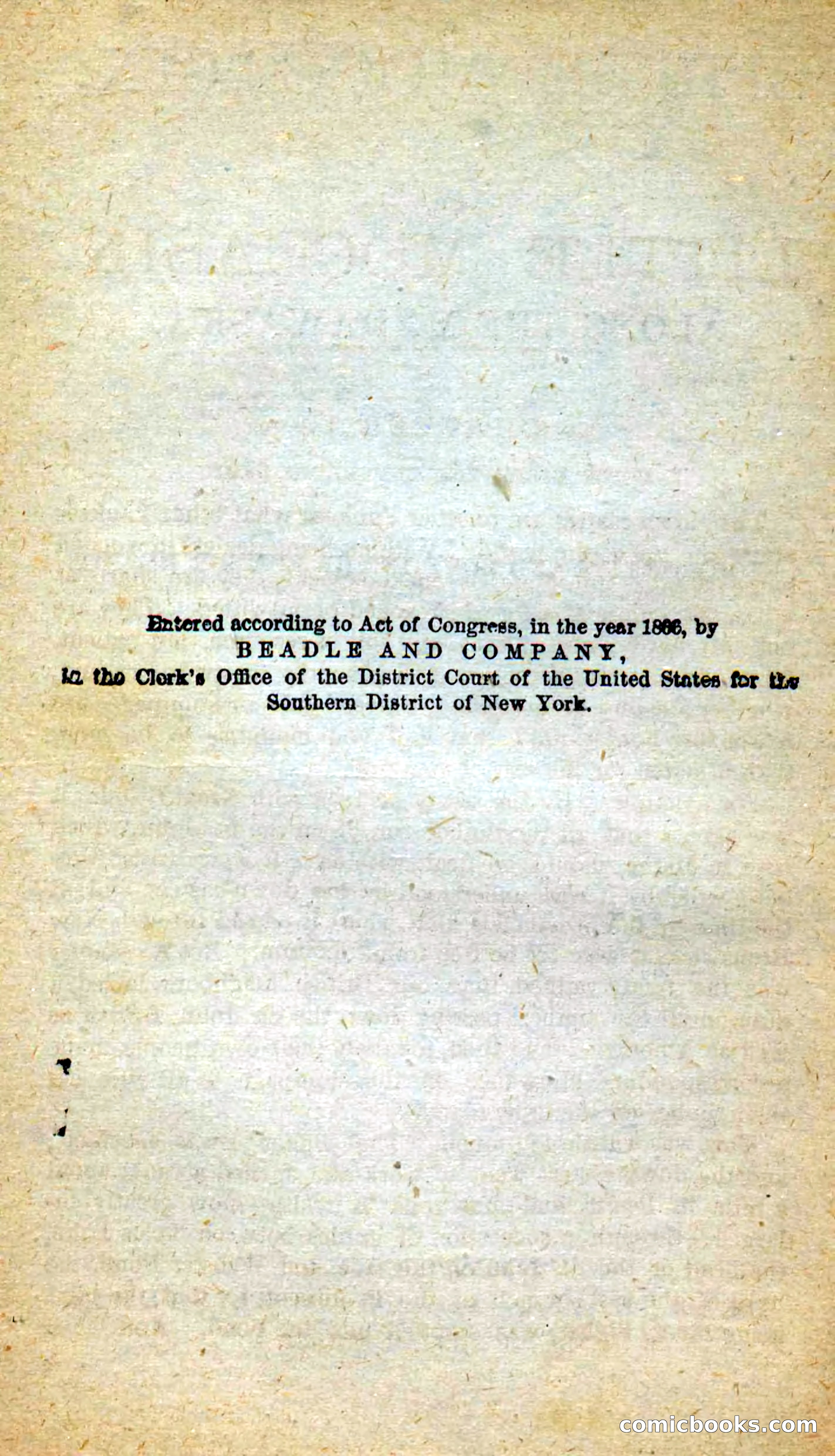 Beadle's New Dime Novels: Little Moccasin — page 4 of 101