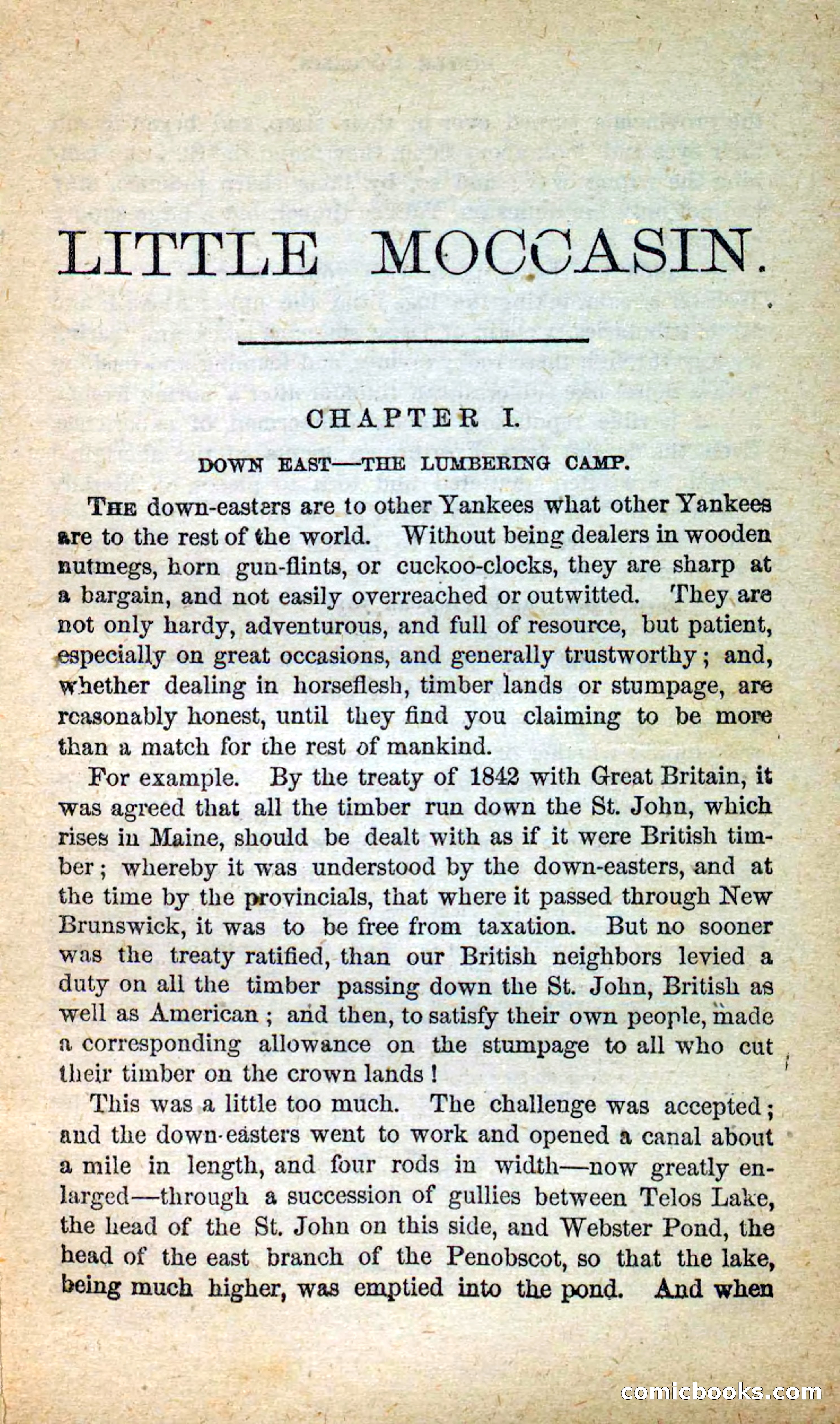 Beadle's New Dime Novels: Little Moccasin — page 5 of 101