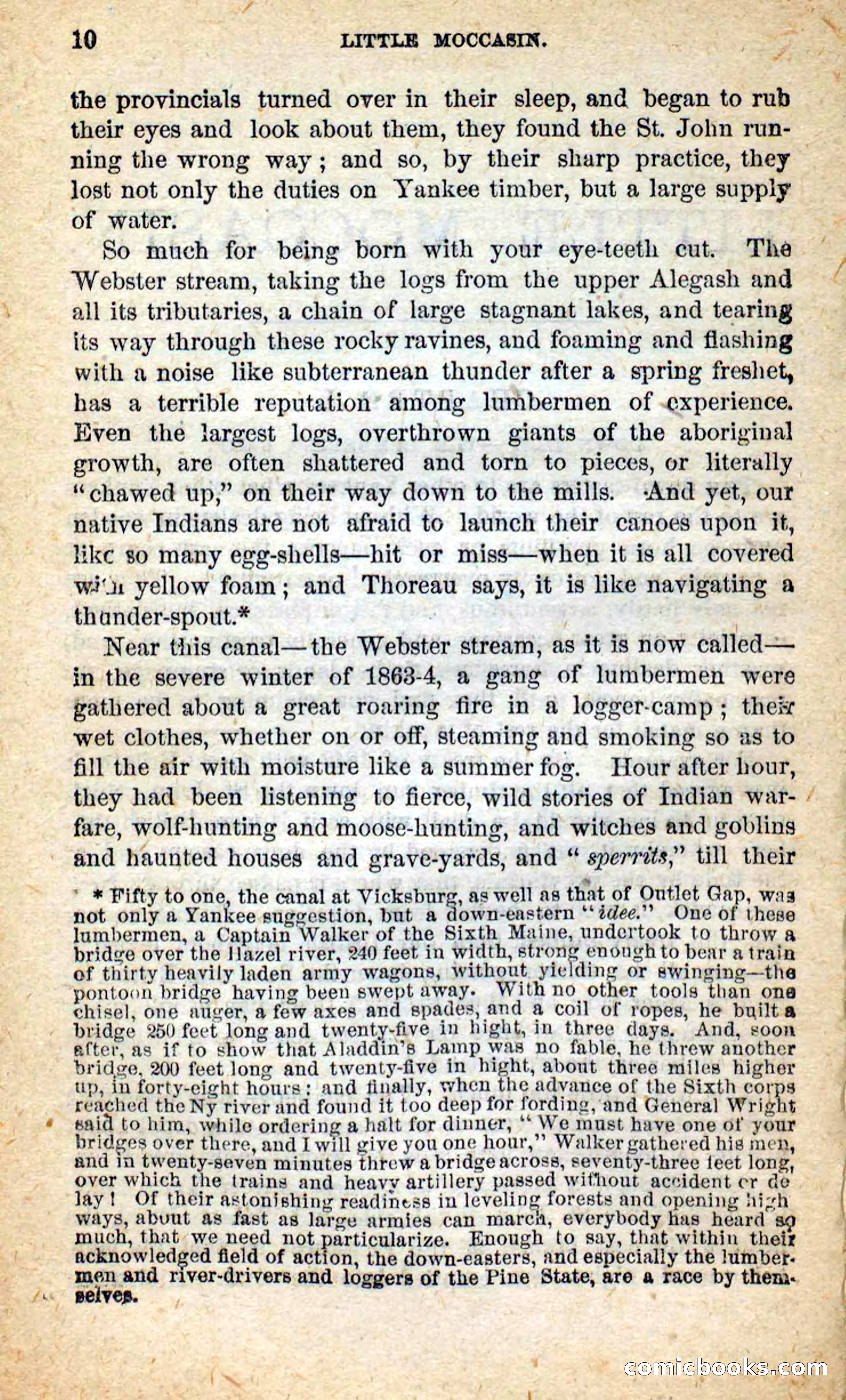 Beadle's New Dime Novels: Little Moccasin — page 6 of 101