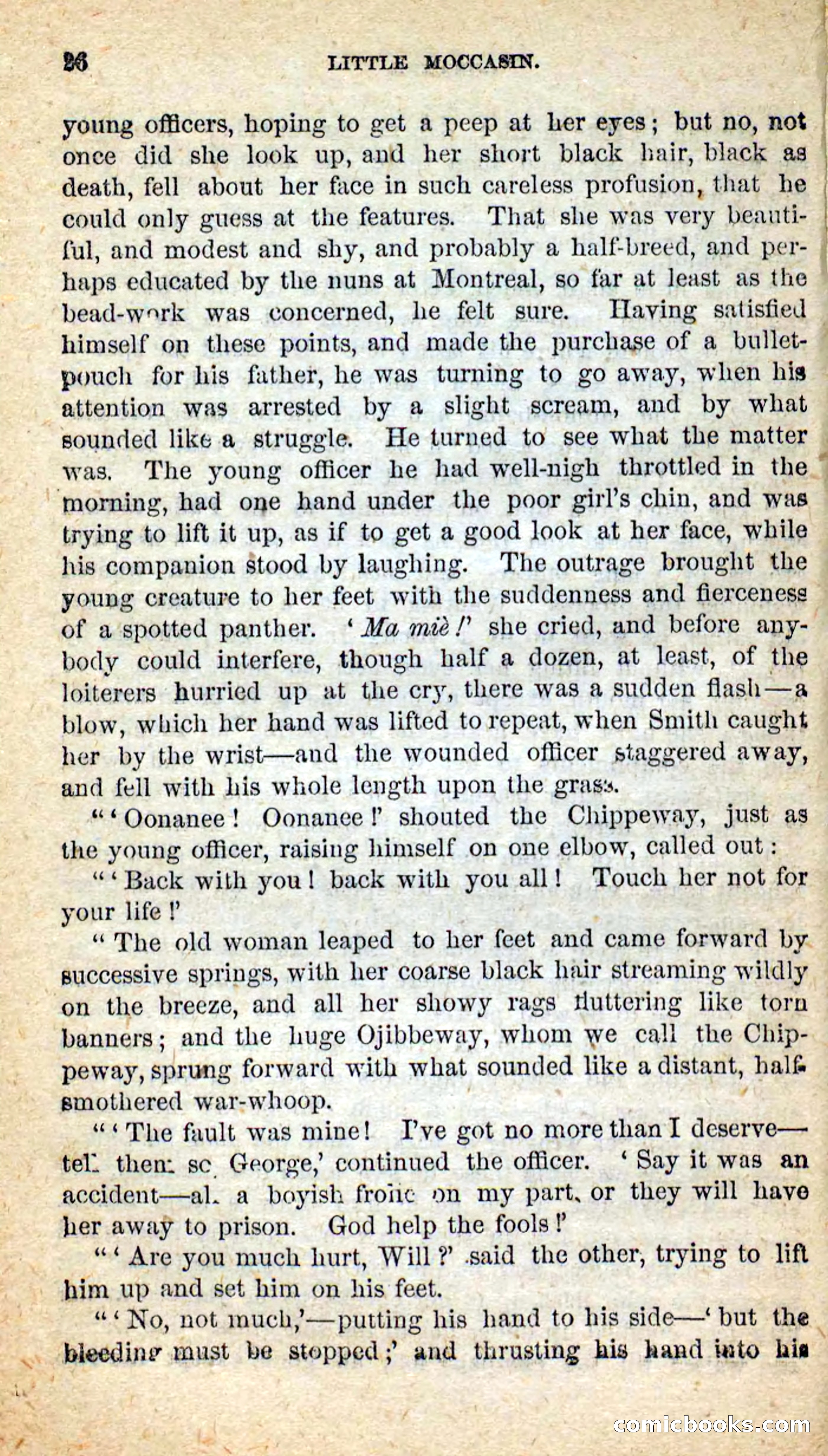 Beadle's New Dime Novels: Little Moccasin — page 22 of 101