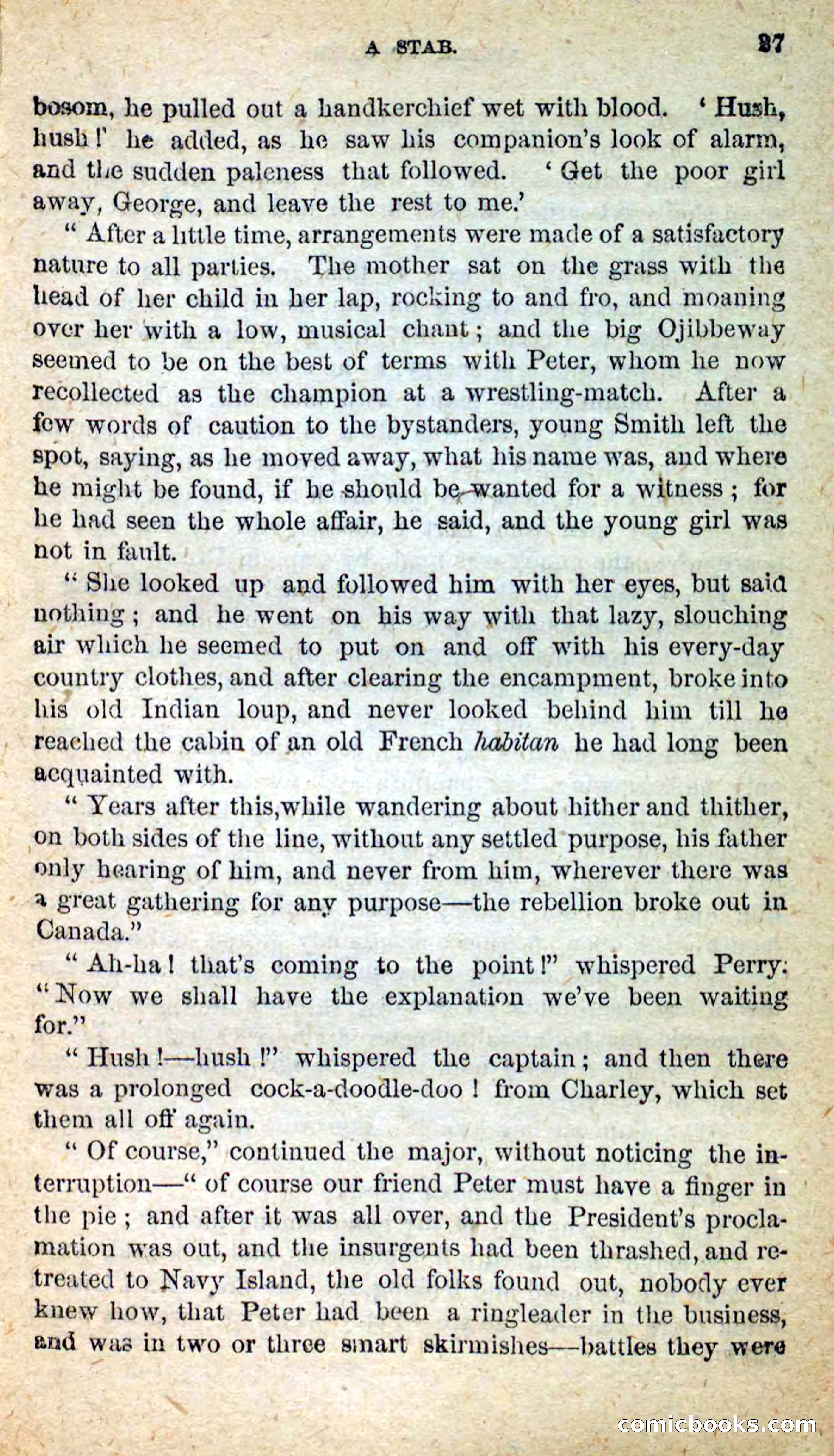 Beadle's New Dime Novels: Little Moccasin — page 23 of 101