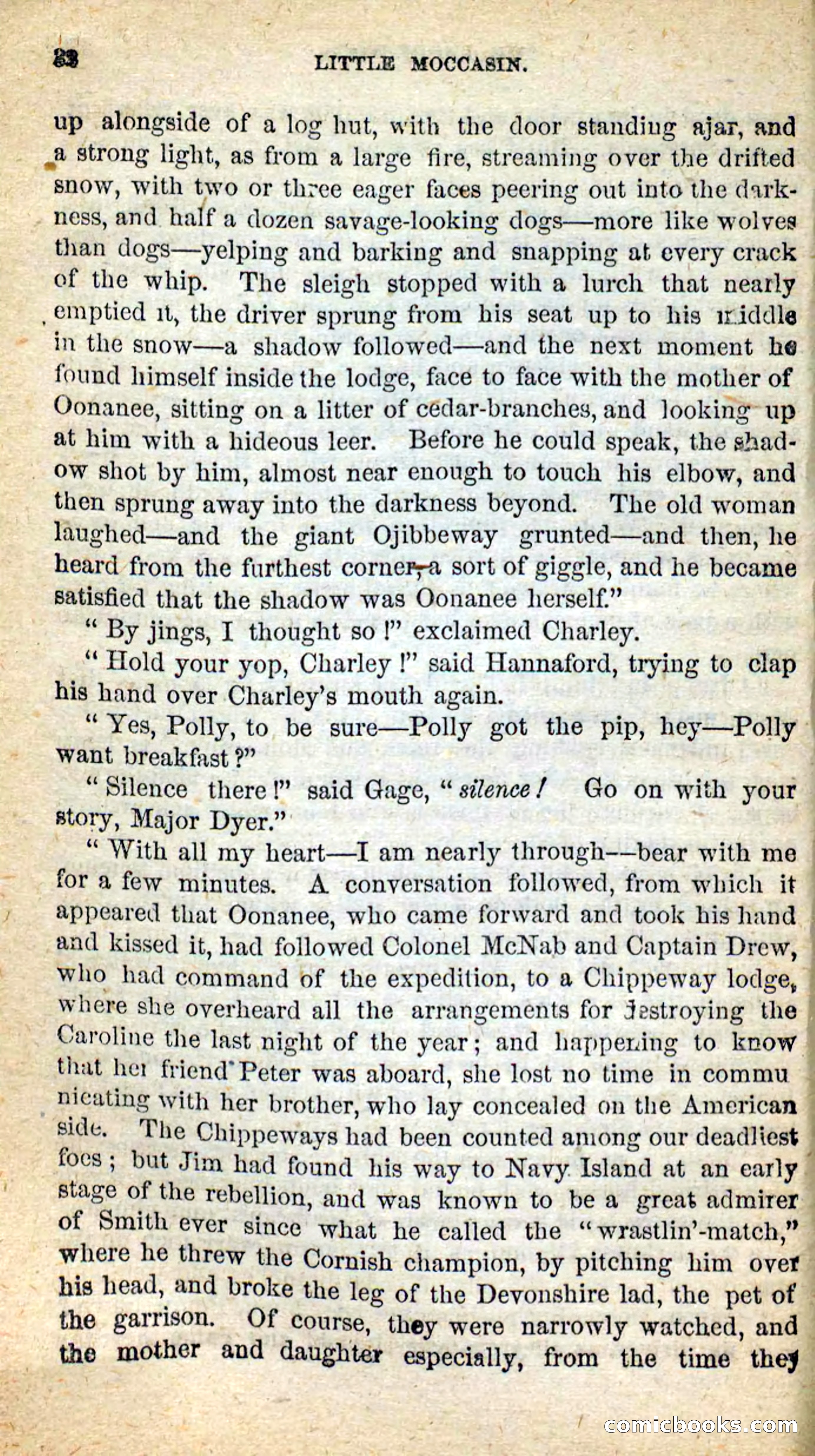 Beadle's New Dime Novels: Little Moccasin — page 28 of 101