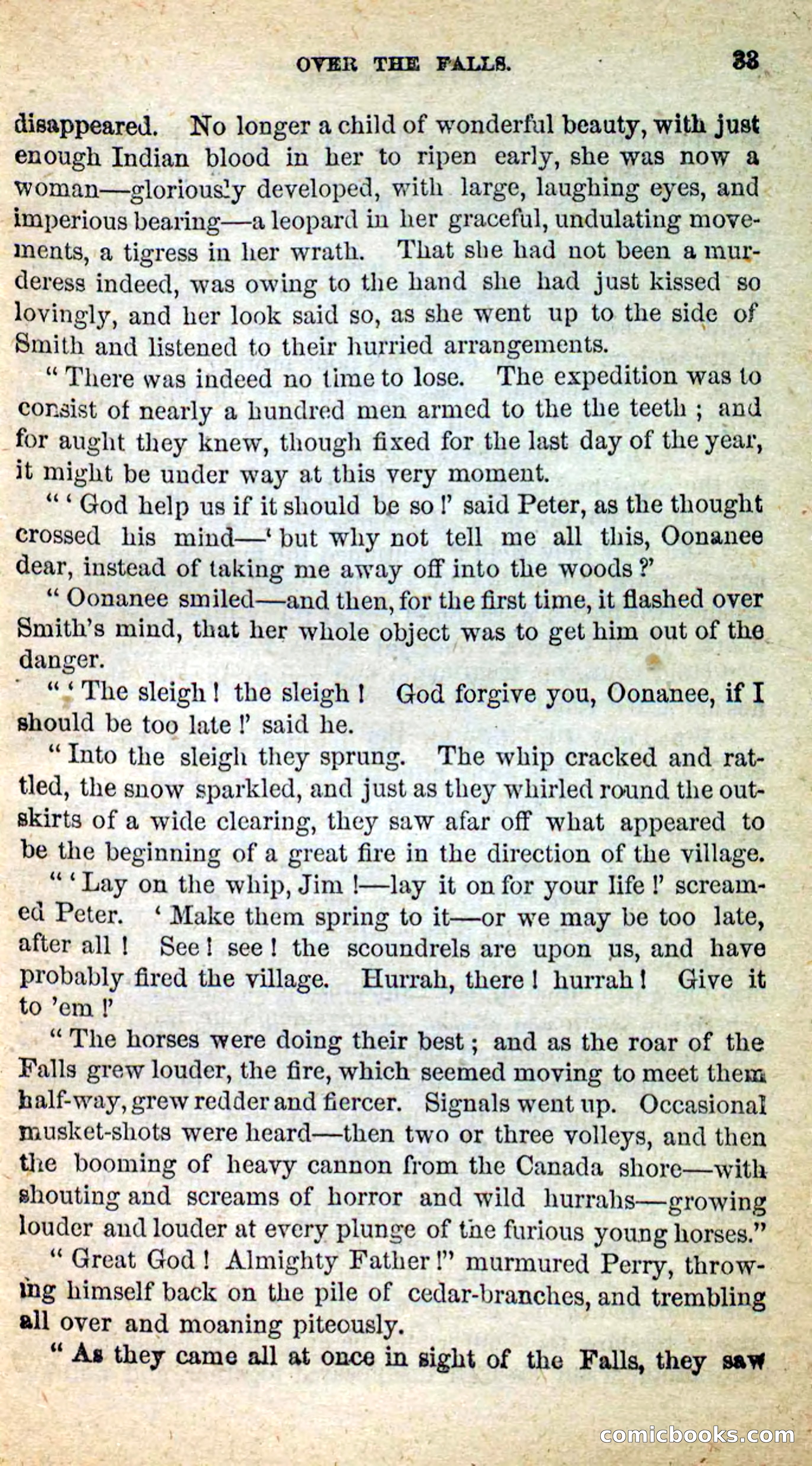 Beadle's New Dime Novels: Little Moccasin — page 29 of 101