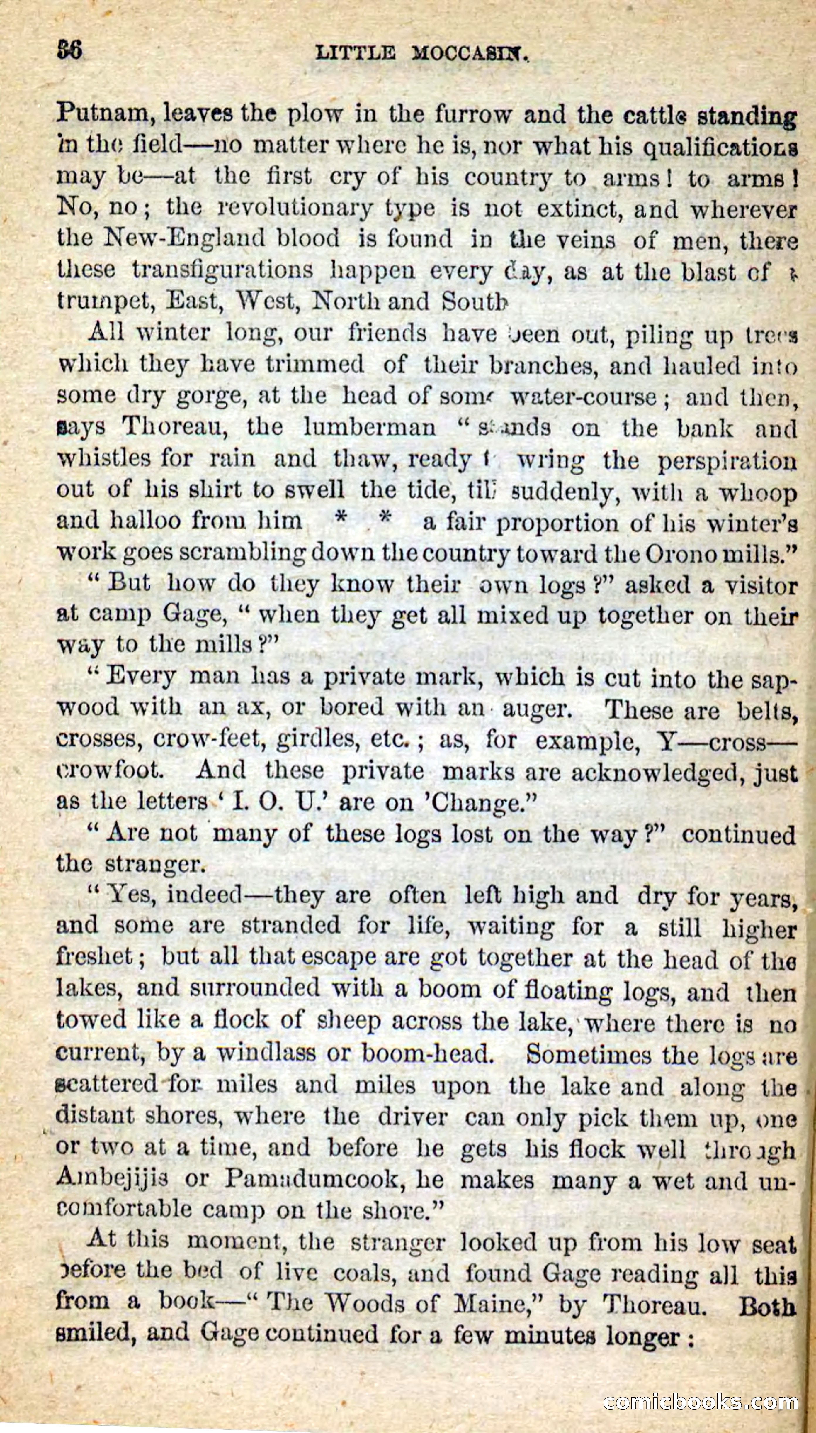 Beadle's New Dime Novels: Little Moccasin — page 32 of 101